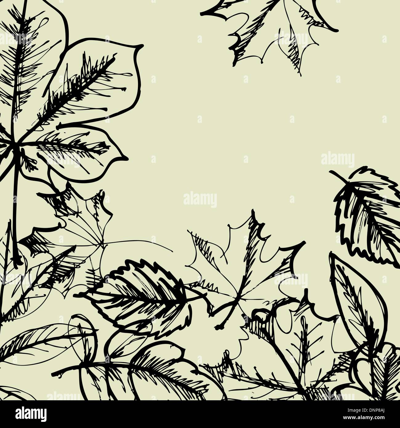 Line drawings hi-res stock photography and images - Alamy