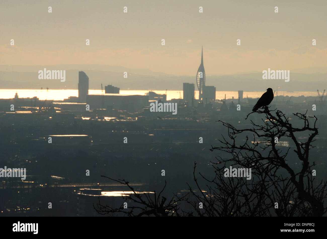 A crow sitting in a tree looking out over the skyline of Portsmouth, England, with the Isle of White behind Stock Photo