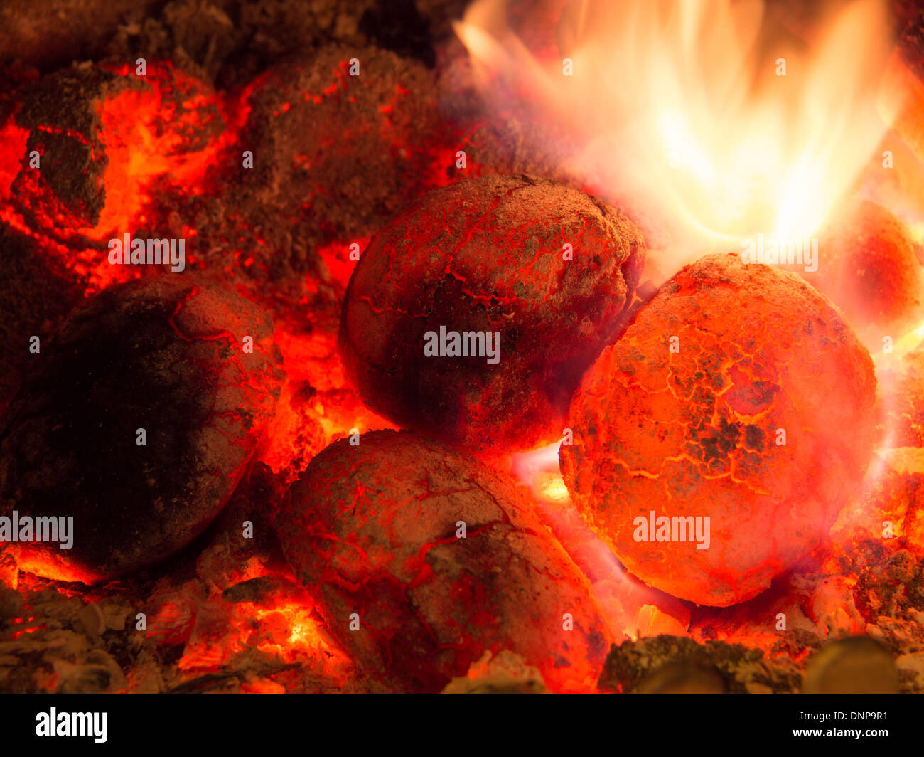 Multi fuel stove coal fire Stock Photo Alamy
