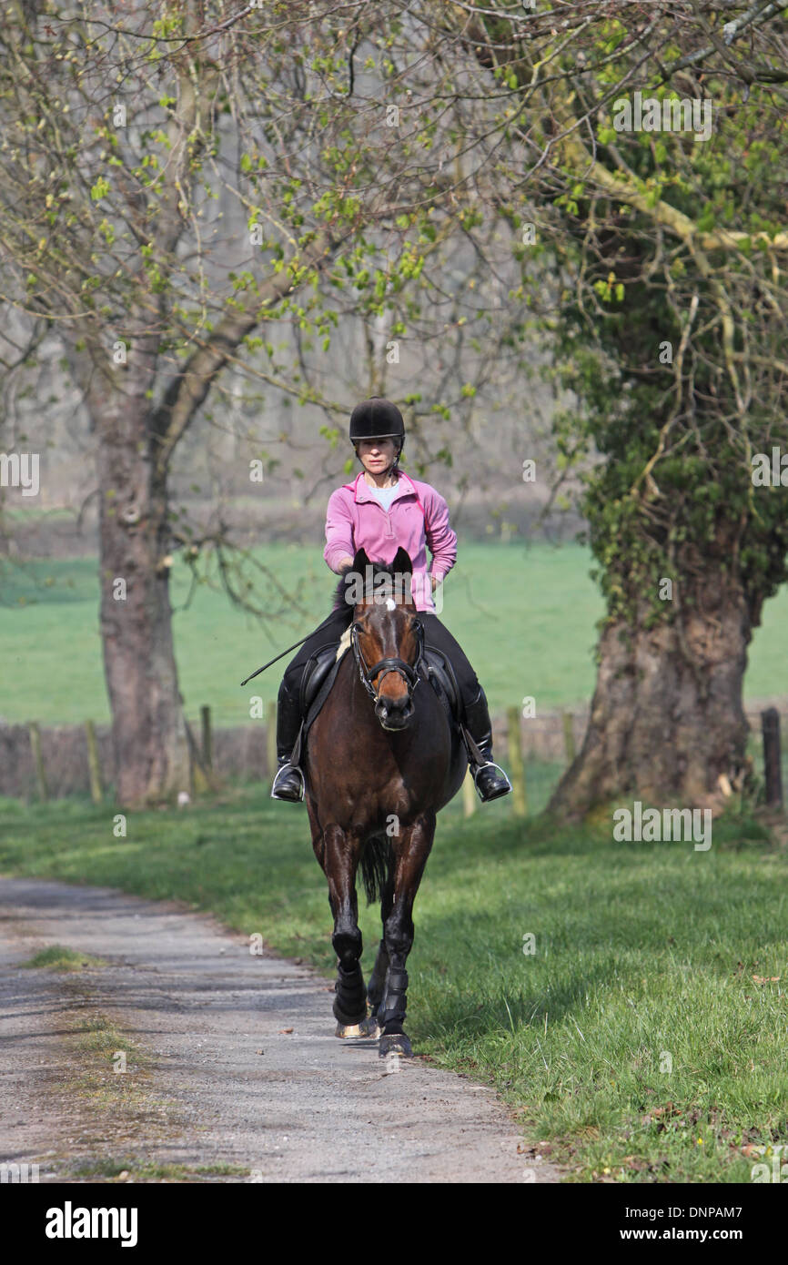 Horse and rider hacking out down a quiet country lane Stock Photo