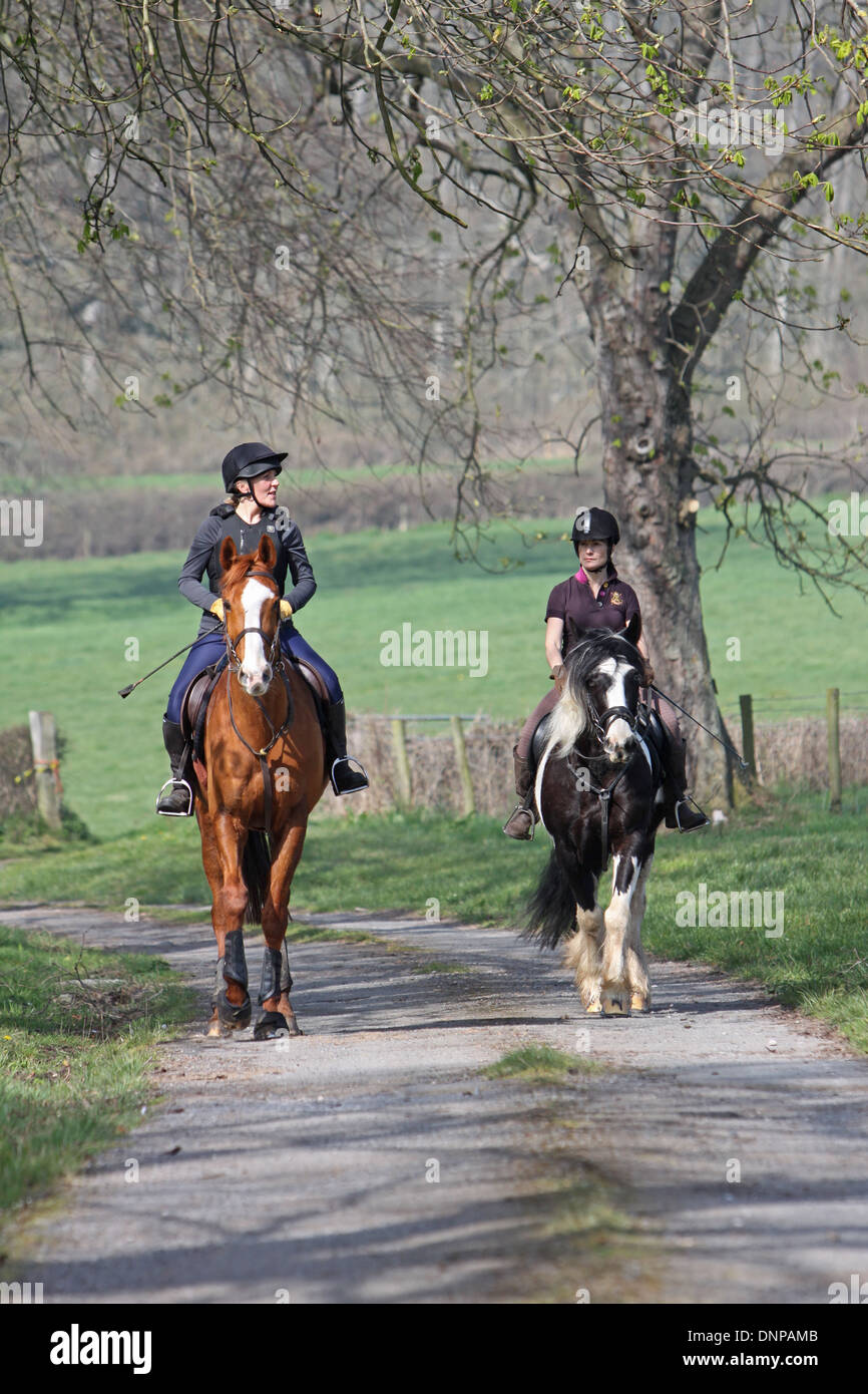 Horses horse hacking hack hi-res stock photography and images - Alamy
