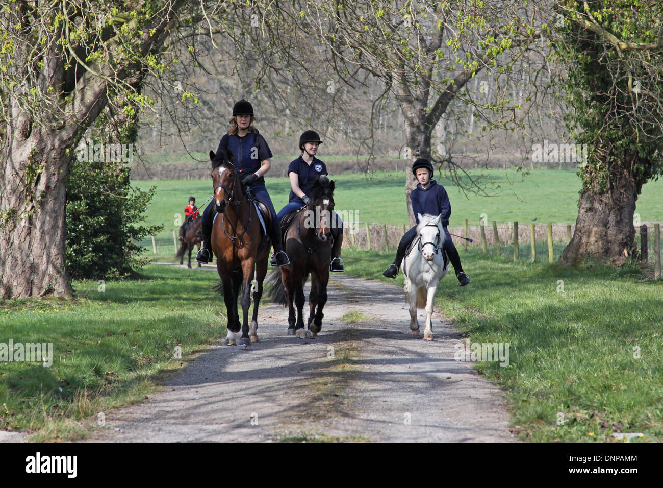 Horses and riders hacking out down a quiet country lane Stock Photo