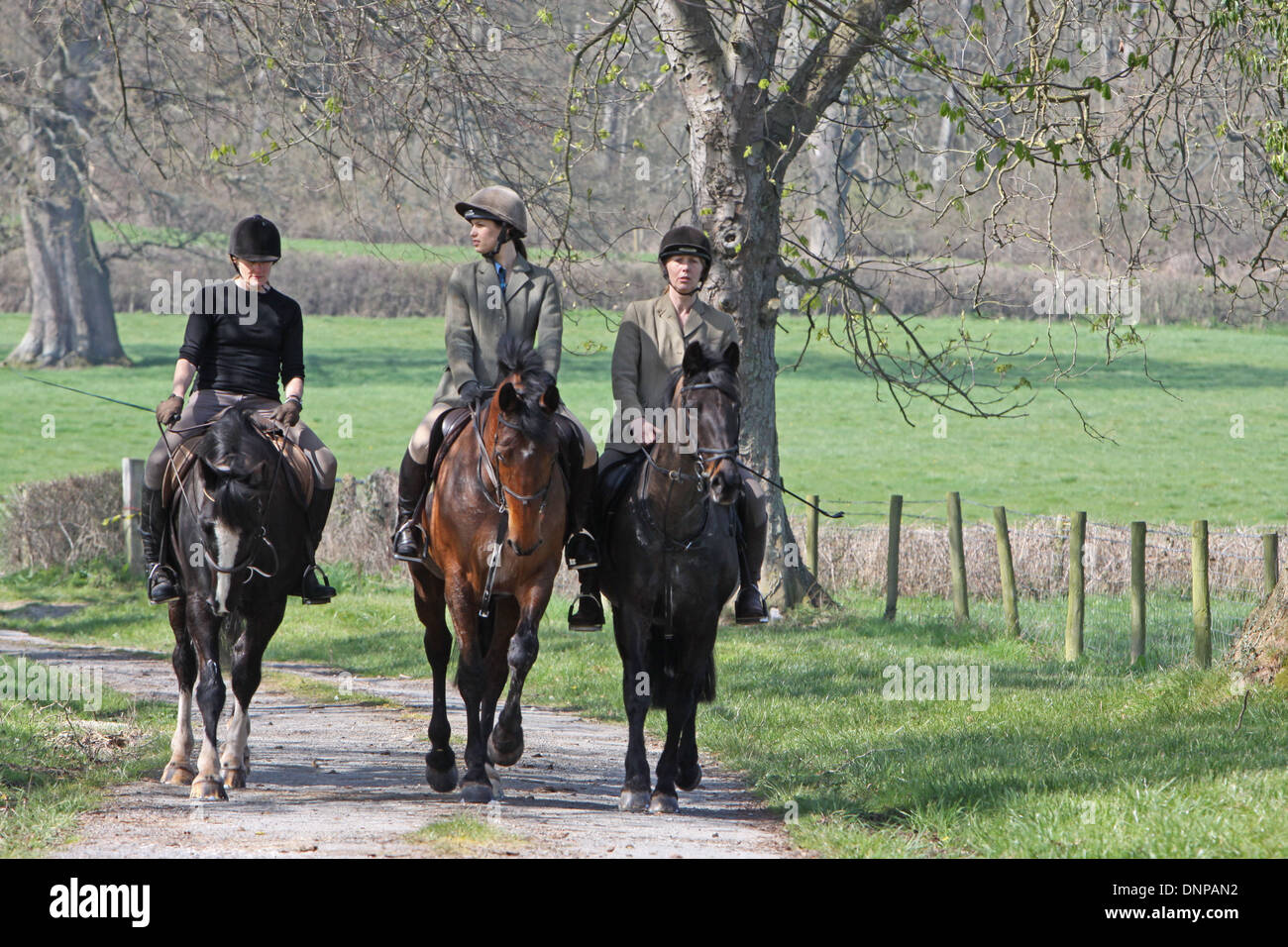 Horses and riders hacking out down a quiet country lane Stock Photo