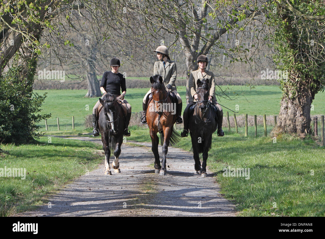 Riding horse country lane hi-res stock photography and images - Alamy