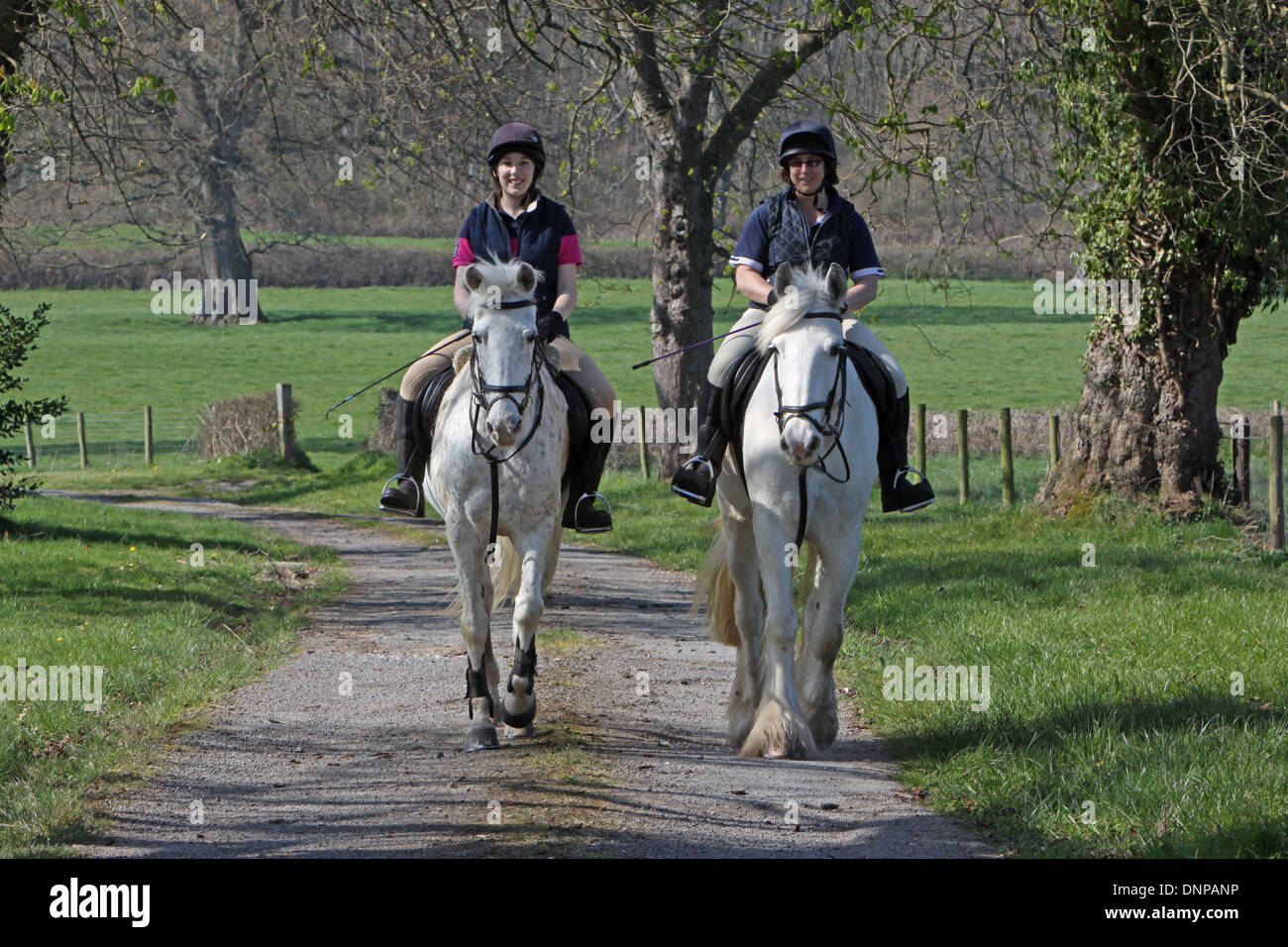 Rider riding woman ride out hi-res stock photography and images - Alamy