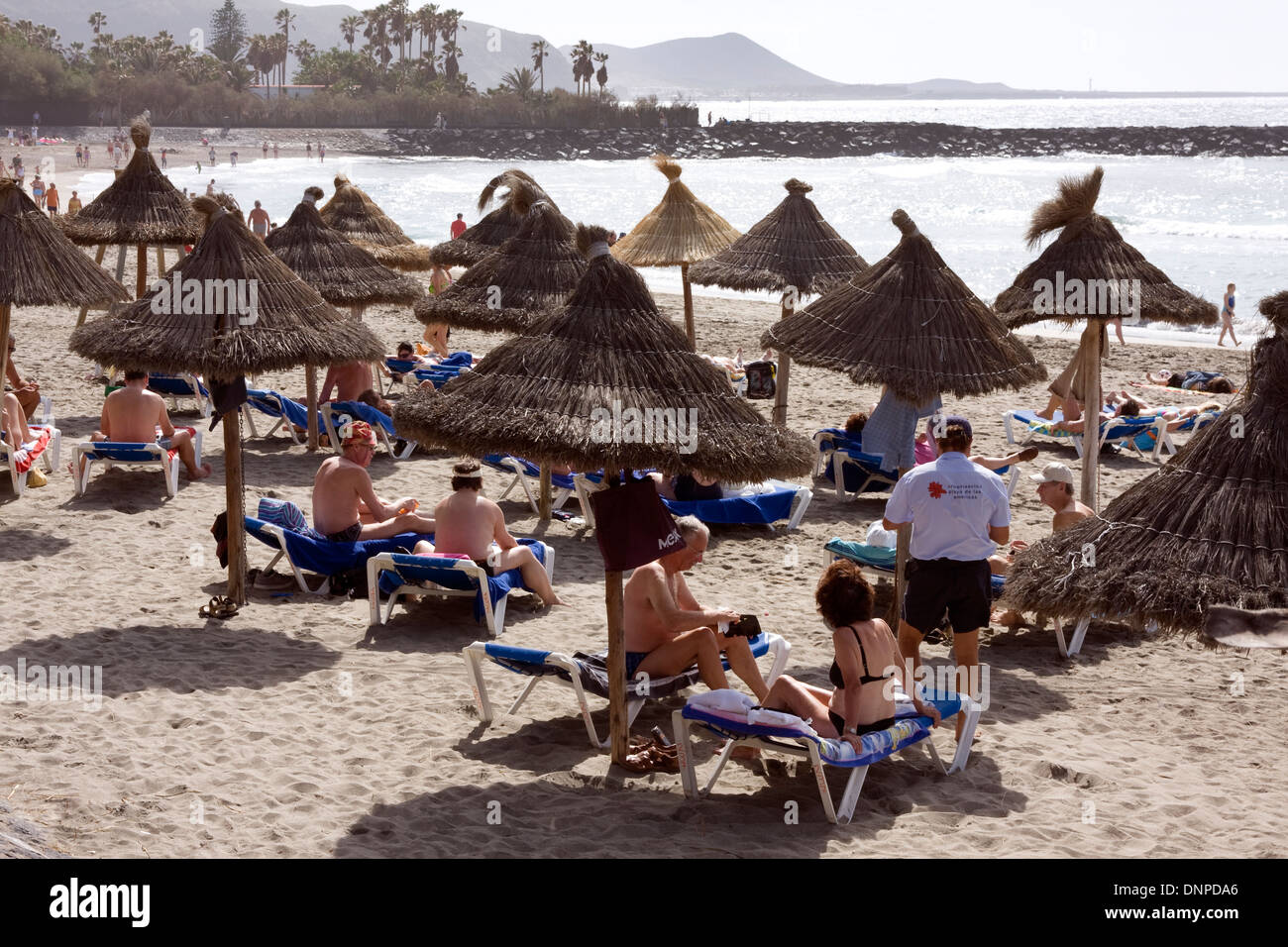 Playa del Camison, Playa de las Americas, Tenerife, Spain Stock Photo