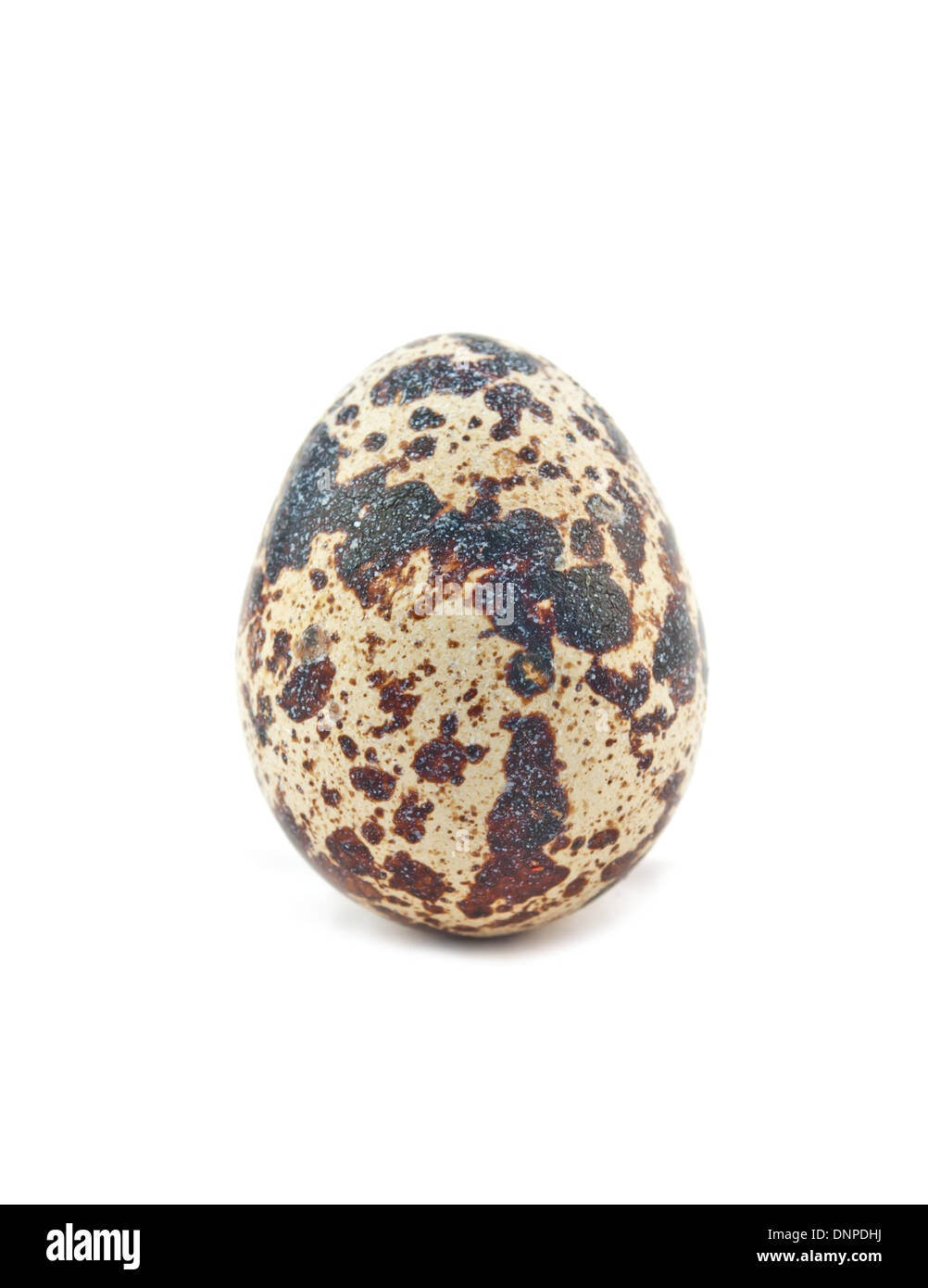 One single on the ground Cut Out Stock Images Pictures Alamy