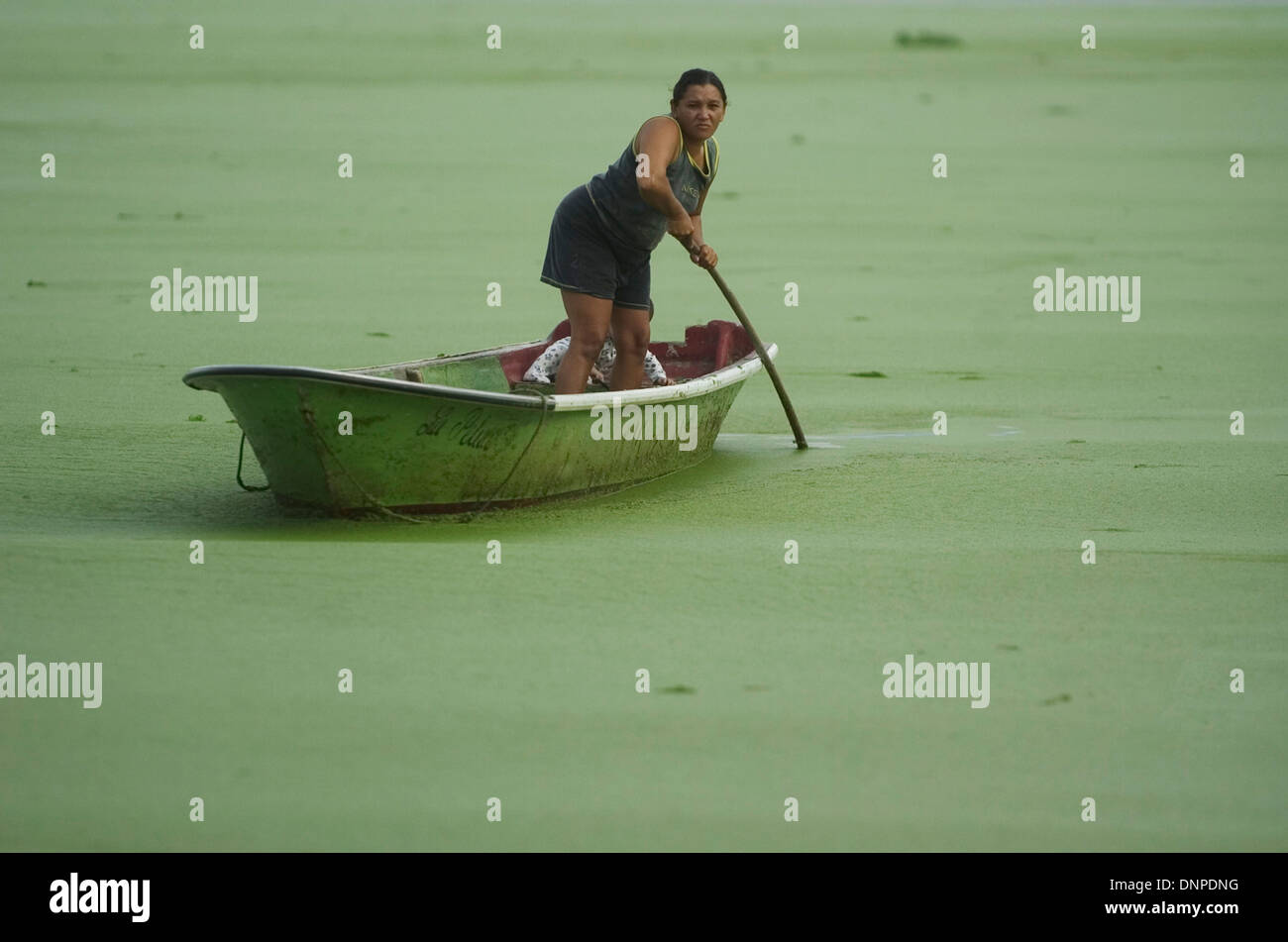 A woman travels on a boat across waters covered with lemma plants in Congo Mirador village, Maracaibo lake, Venezuela Stock Photo