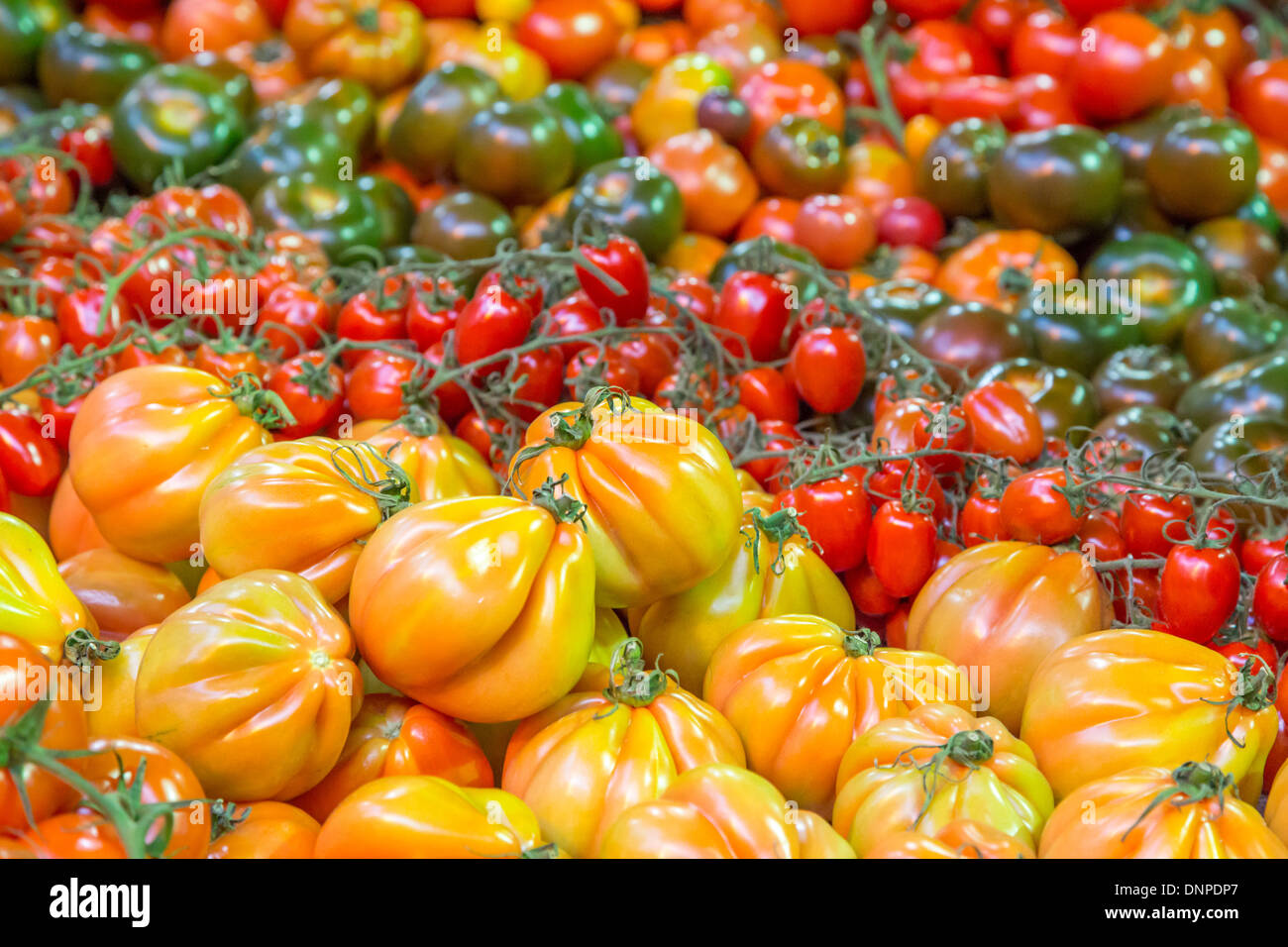 Heirloom vegetable hi-res stock photography and images - Alamy