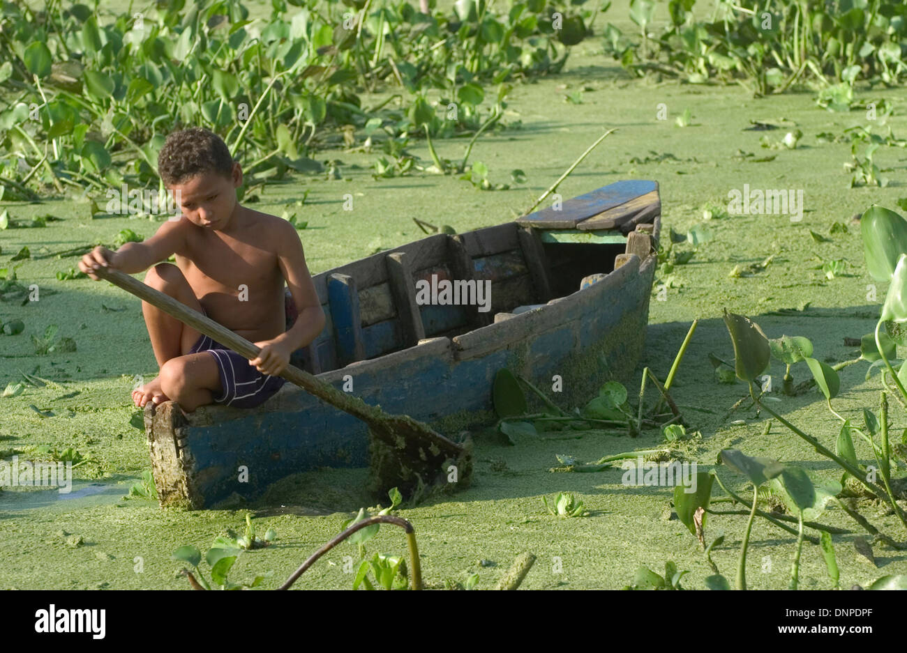 Portrait of a boy in Congo Mirador village as she rows a boat in waters covered with lemma plants,Maracaibo lake, Venezuela Stock Photo