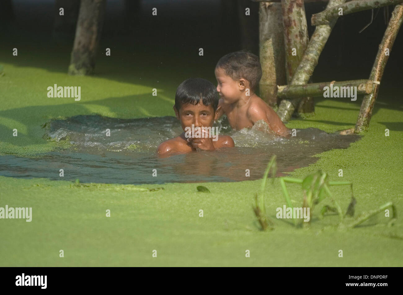 Two boys swim in waters covered with lemma plants, in the mouth of the Catatumbo river, Maracaibo´s lake, Zulia state, Venezuela Stock Photo