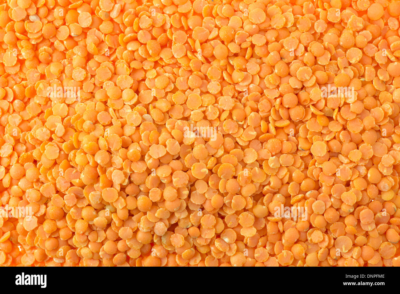 Red Lentils Stock Photo