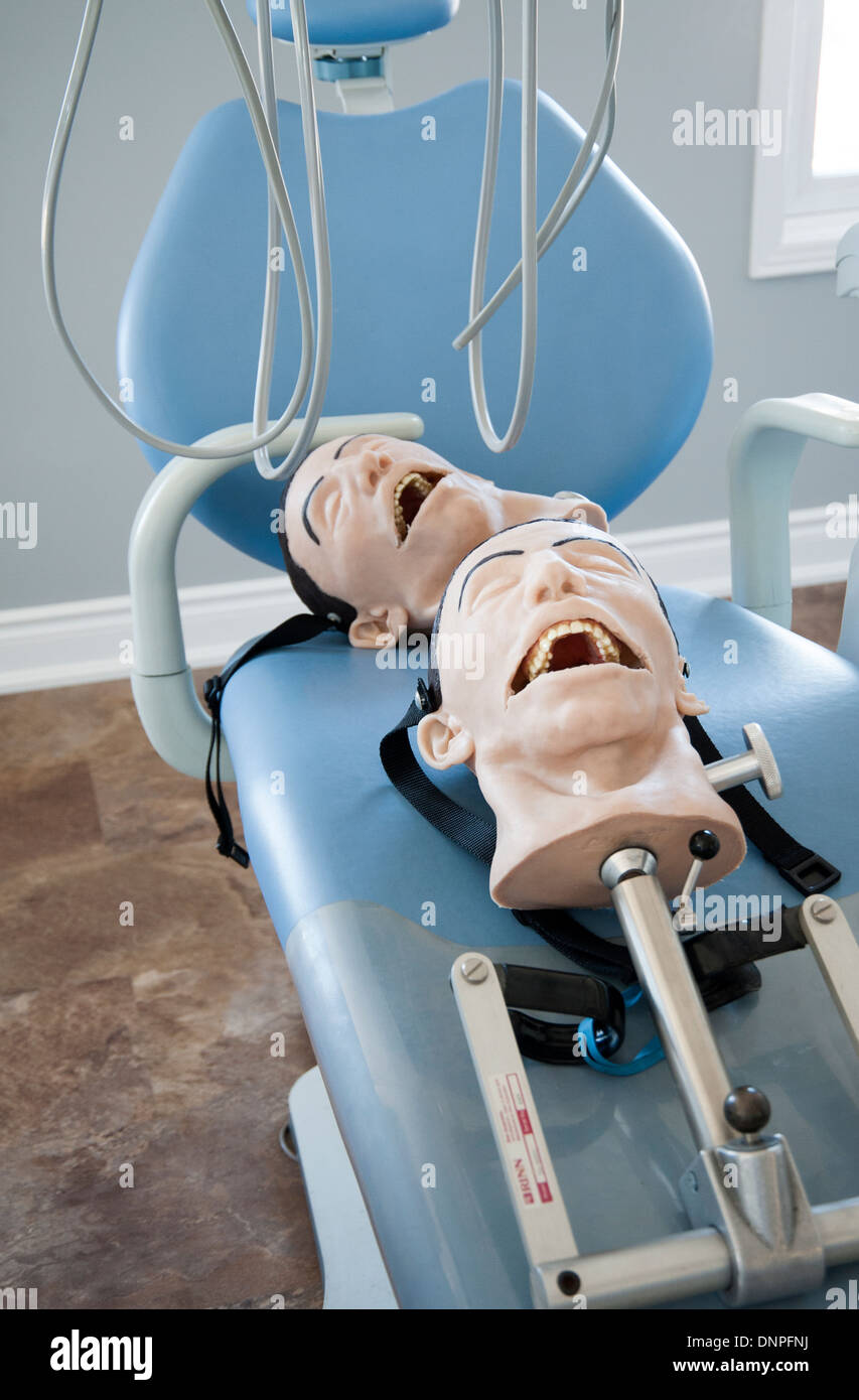 Rubber practice heads hires stock photography and images Alamy