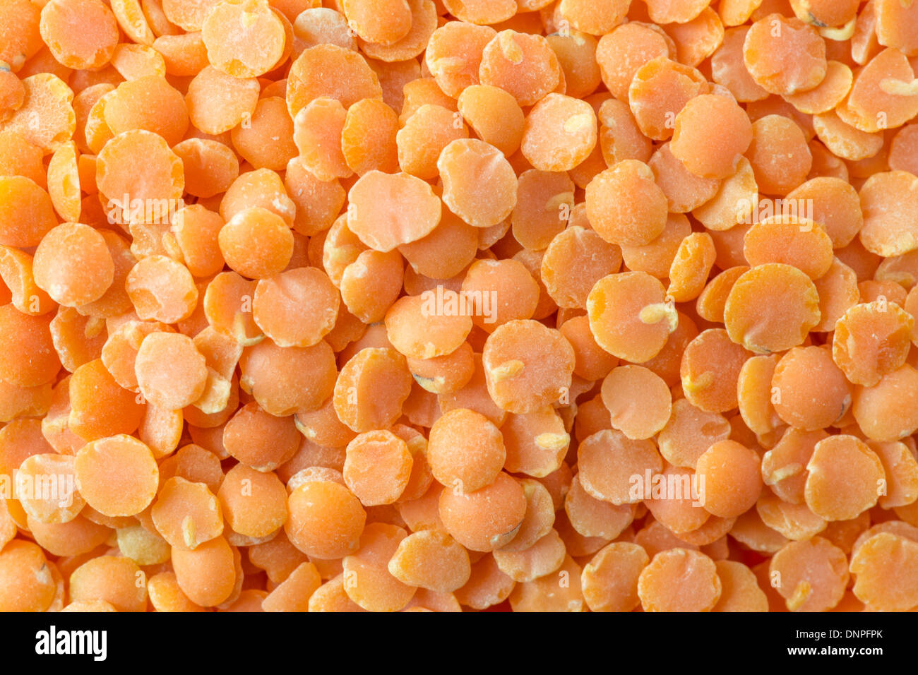 Red Lentils Stock Photo
