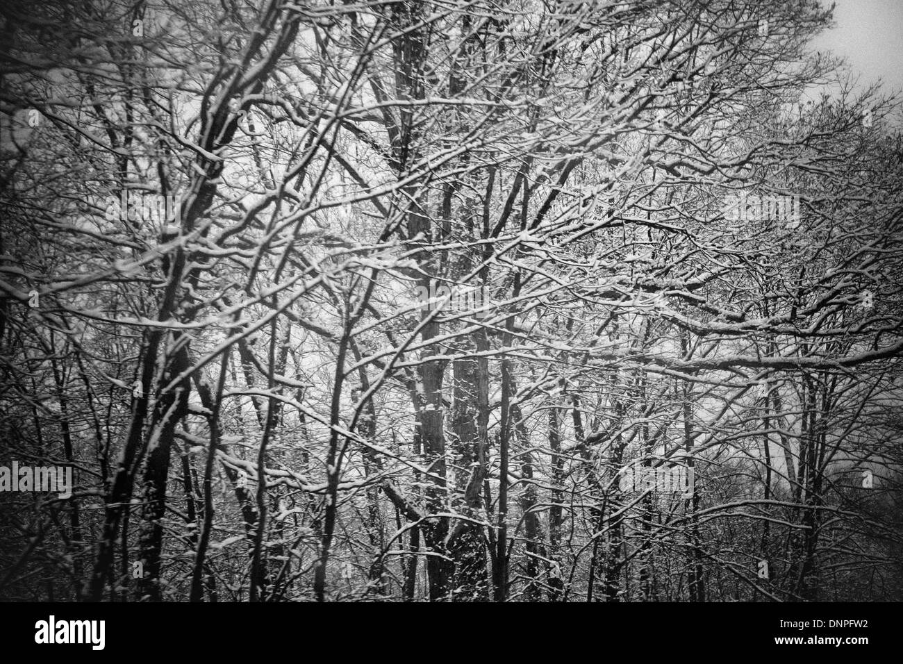 Bloomington, Indiana, USA. 01st Jan, 2014. Along Ind. 37 north of Bloomington. Freezing temeratures and snow blanket Indiana with subzero temperatures and more snow expected over the weekend. Credit:  Jeremy Hogan/Alamy Live News Stock Photo