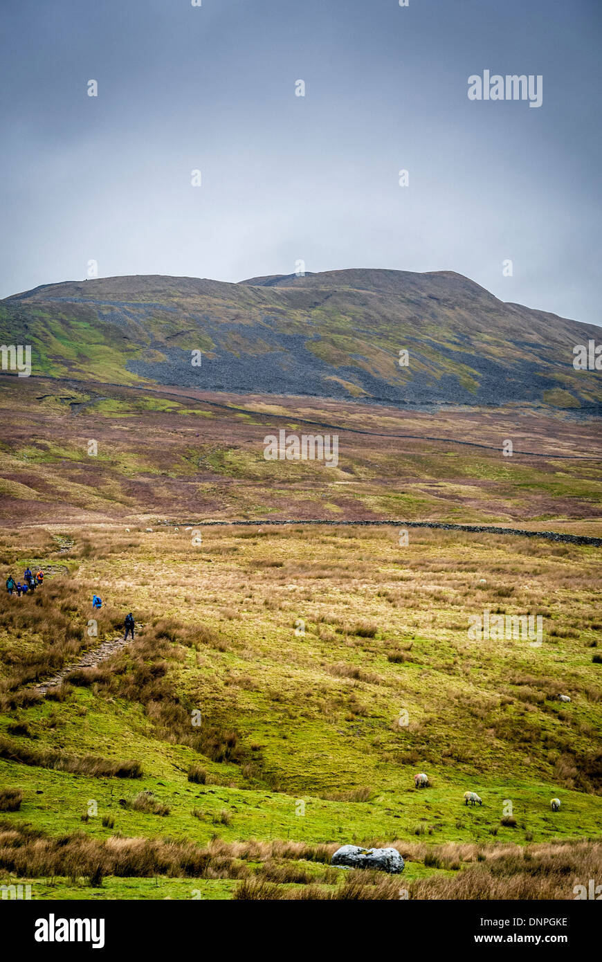 Whernside, North Yorkshire, one of Yorkshire Three Peaks with walkers visible ascending. Stock Photo