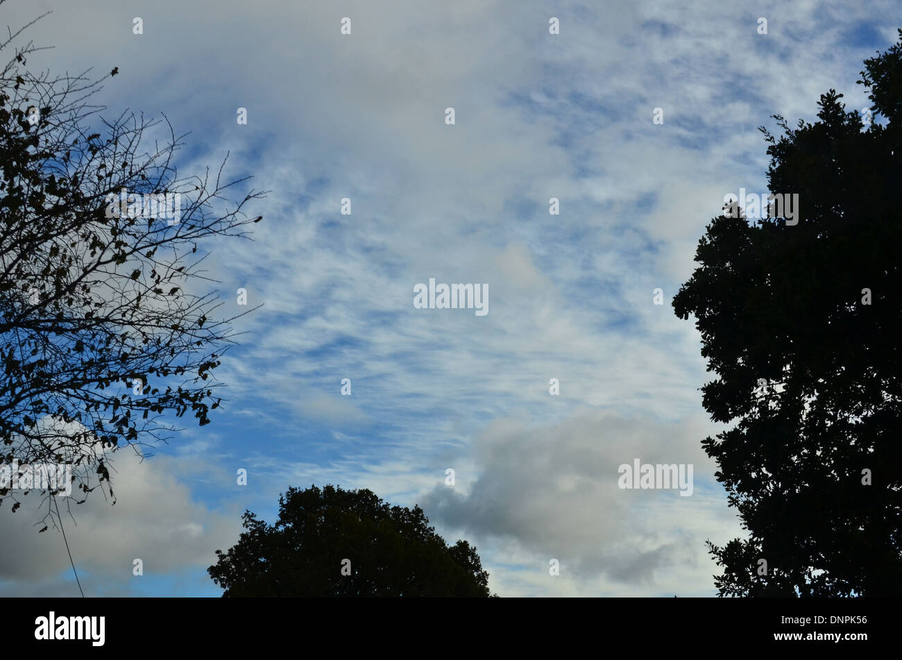 clouds in blue sky with trees Stock Photo - Alamy