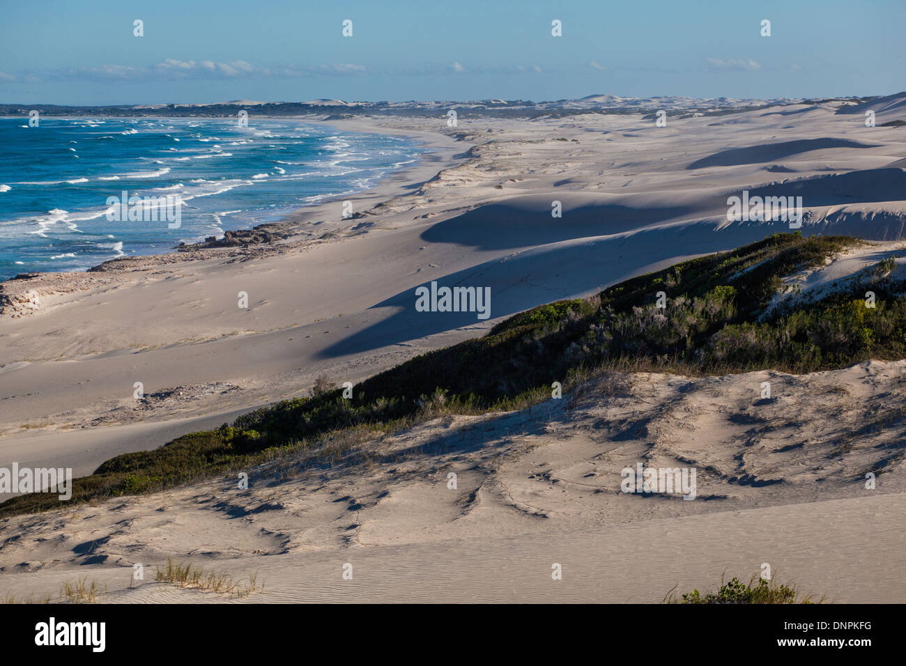 Coastal dunes & beach at De Hoop Nature Reserve, Western Cape, South Africa Stock Photo