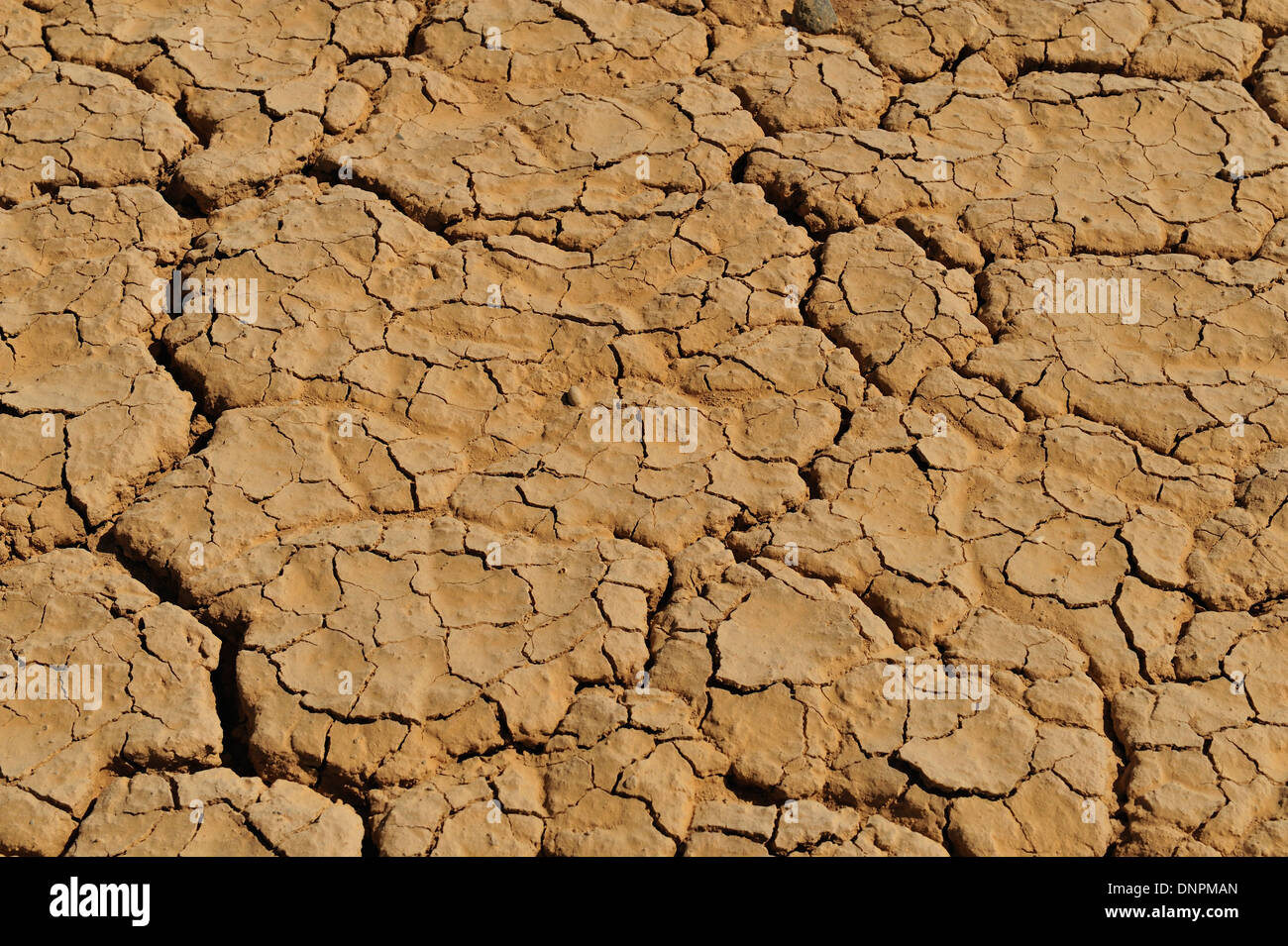 Cracks in the parched soil in Lake Abbe in Djibouti, horn of Africa Stock Photo