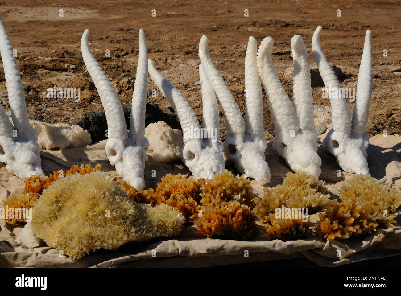 Handicrafts built with salt sold in a shop on the shores of Lake Assal, Djibouti Stock Photo