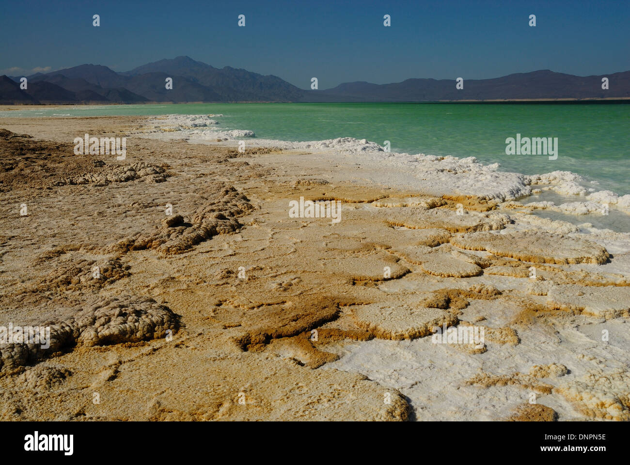 salt plates dried by the sun on the shores of Lake Assal, Djibouti Stock Photo