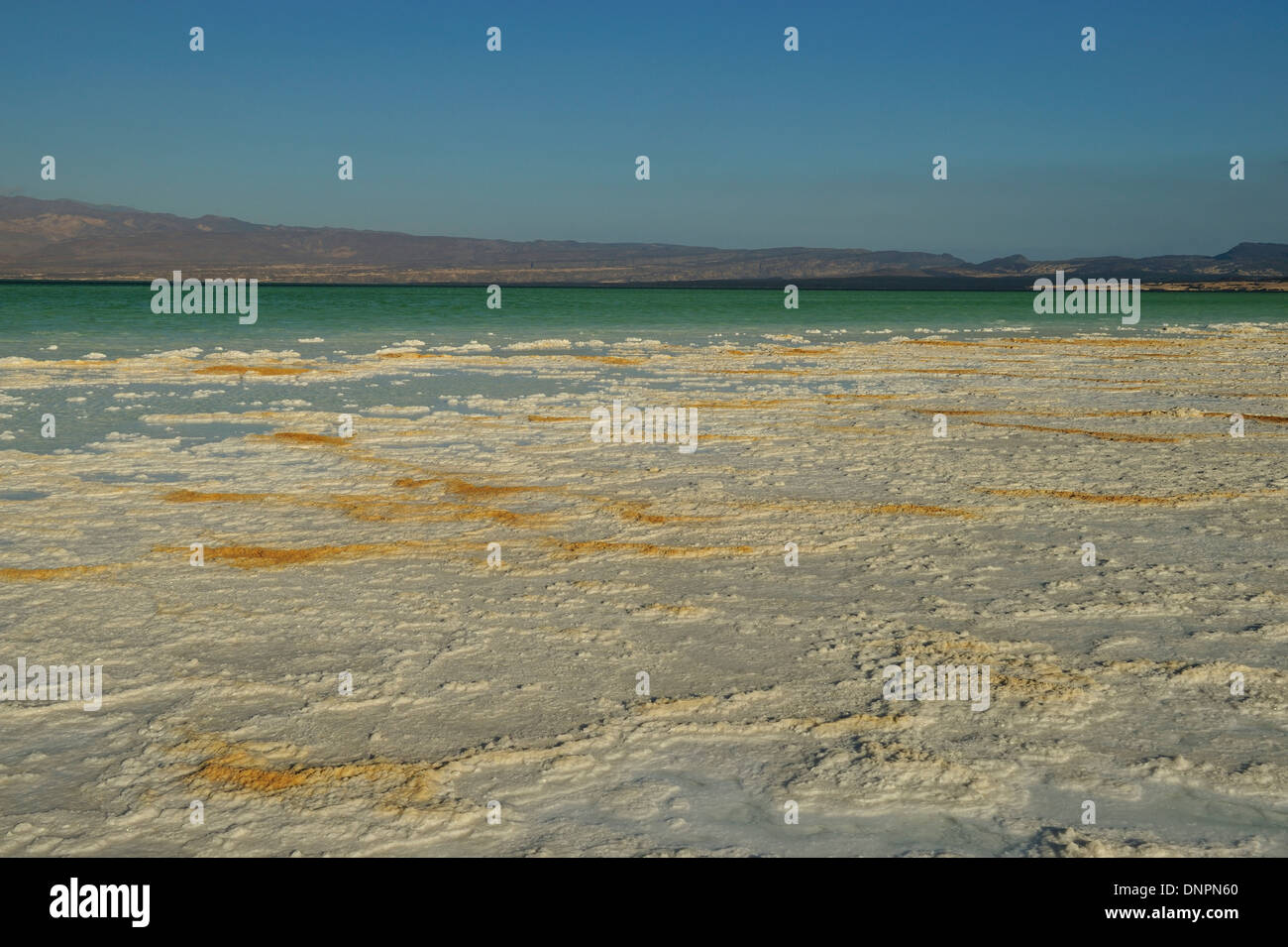 salt plates dried by the sun on the shores of Lake Assal, Djibouti Stock Photo