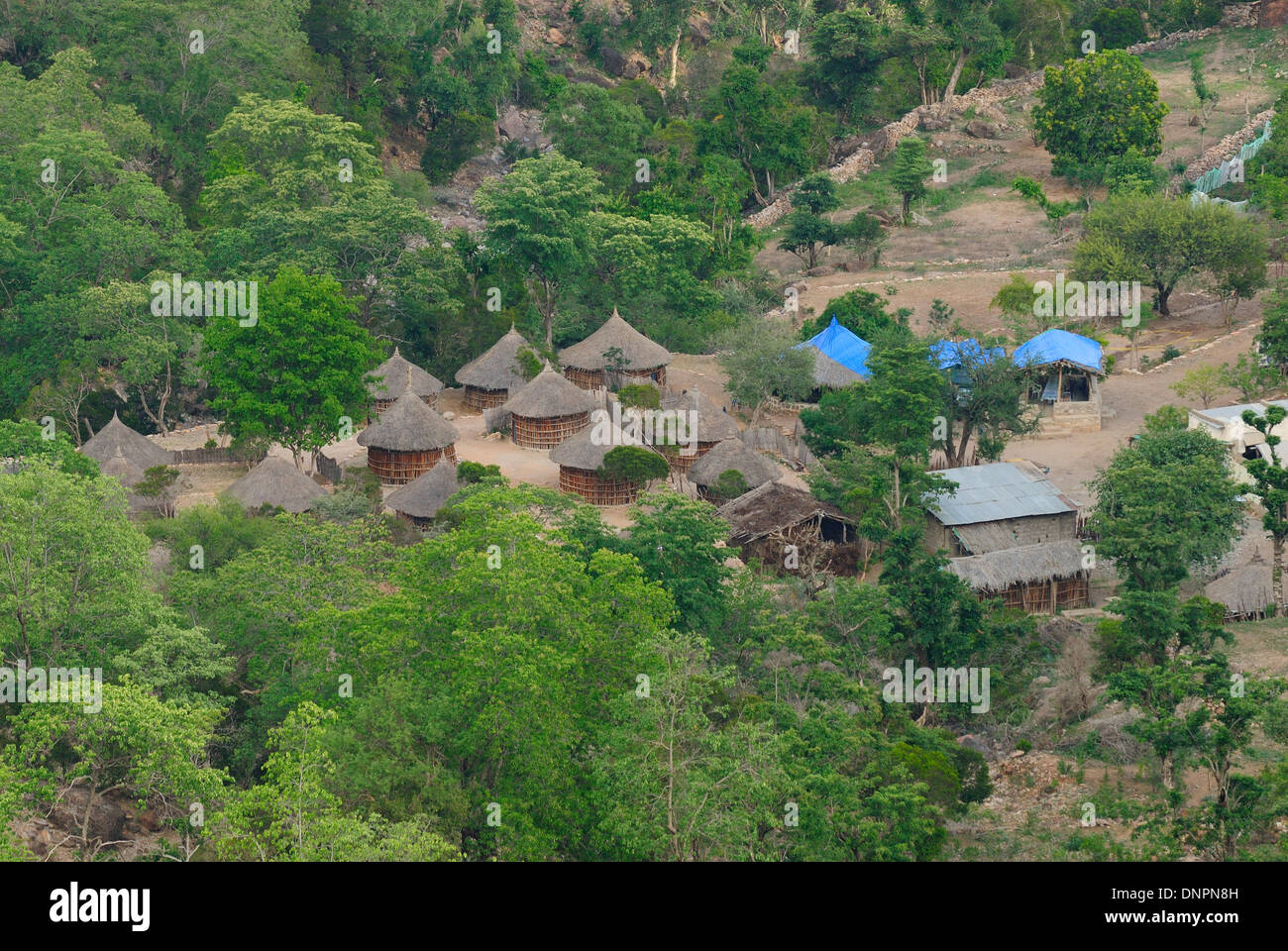 Village in the Day forest in Djibouti, Horn of Africa Stock Photo