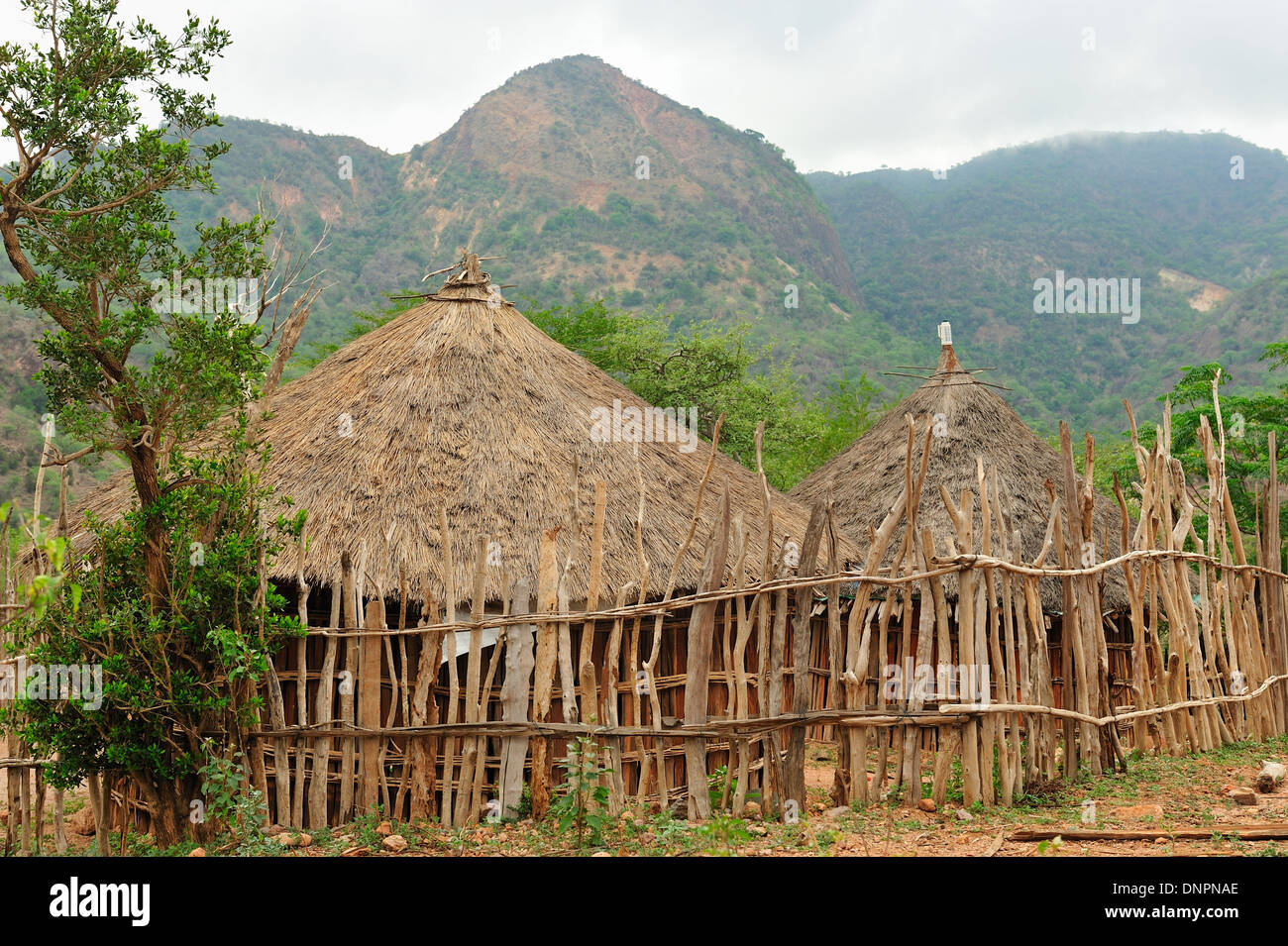 Typical rounded Djiboutian huts in a village in the Day forest in Djibouti, Horn of Africa Stock Photo