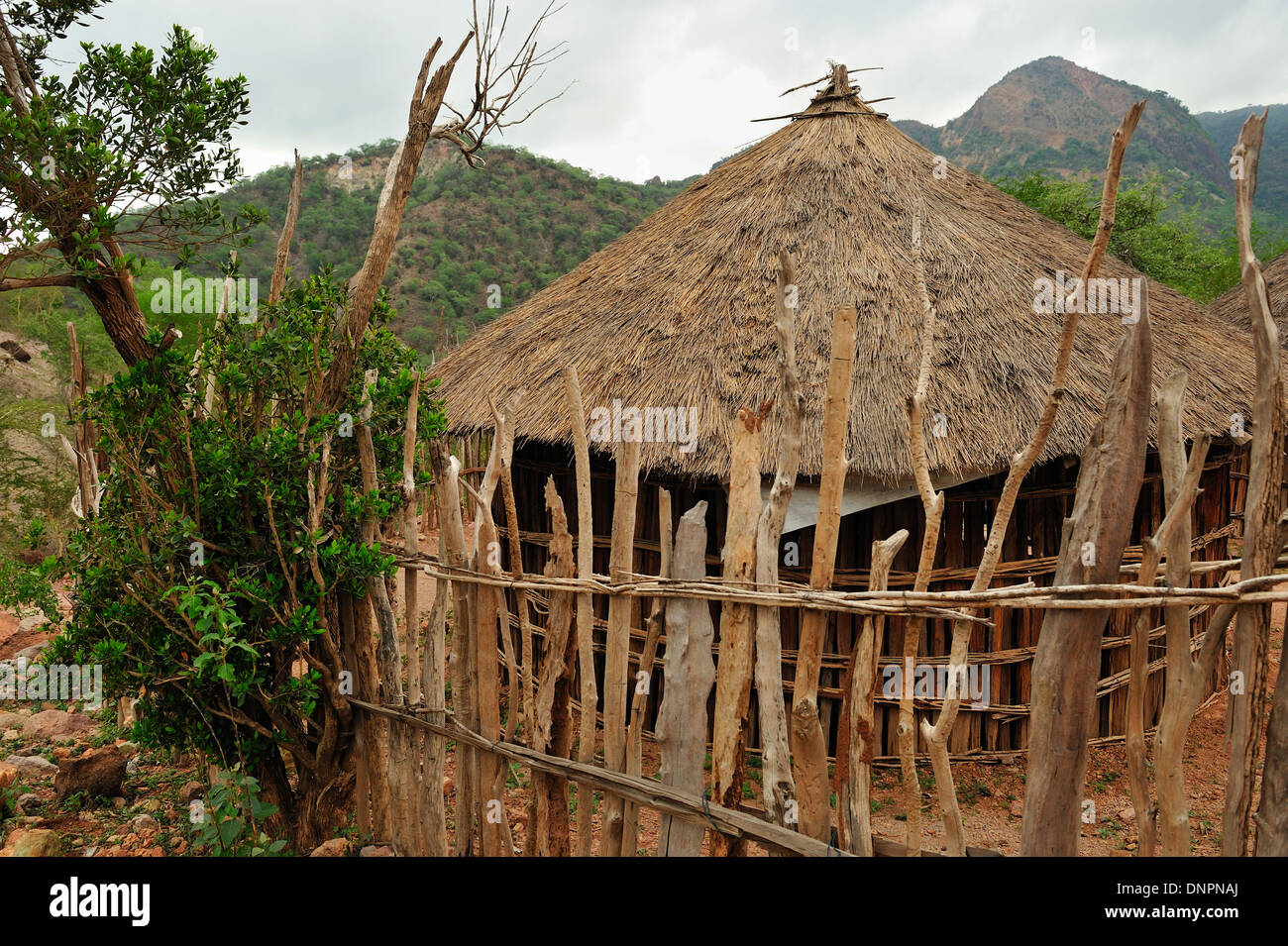Typical rounded Djiboutian huts in a village in the Day forest in Djibouti, Horn of Africa Stock Photo