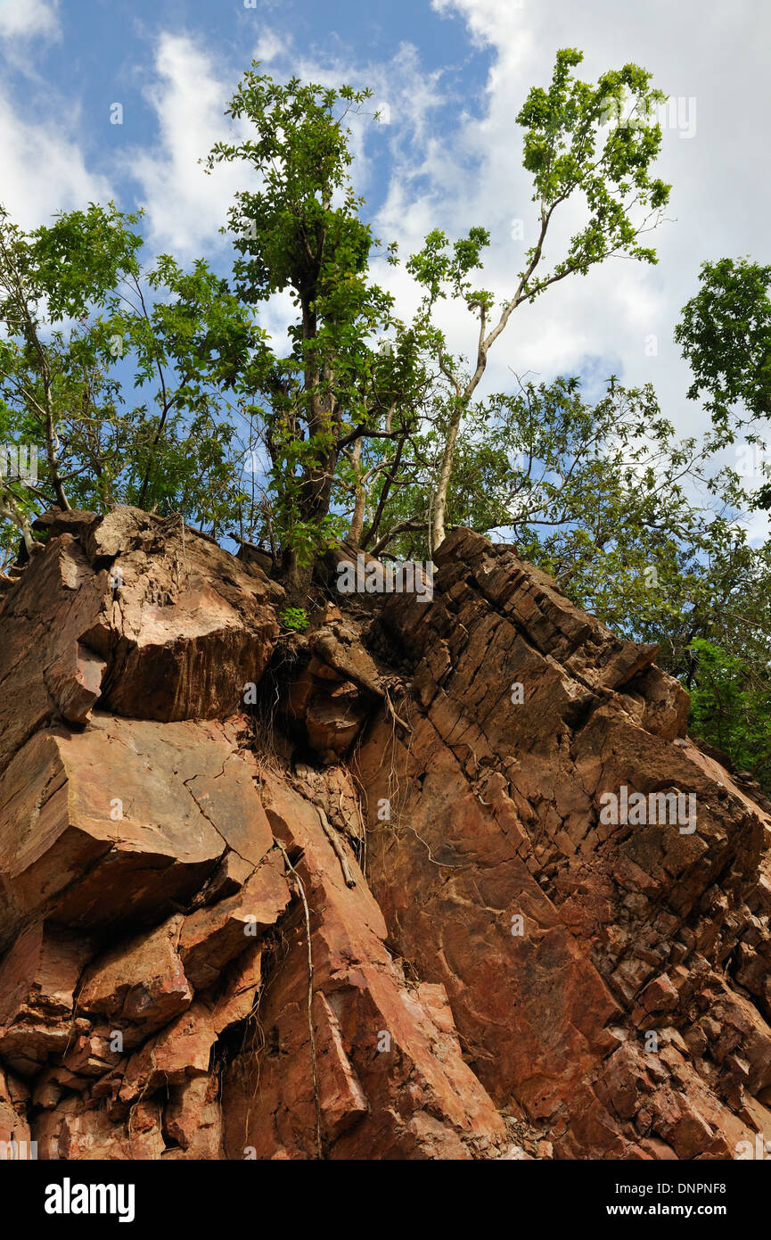 Big rocks in the Day forest in Djibouti, Horn of Africa Stock Photo
