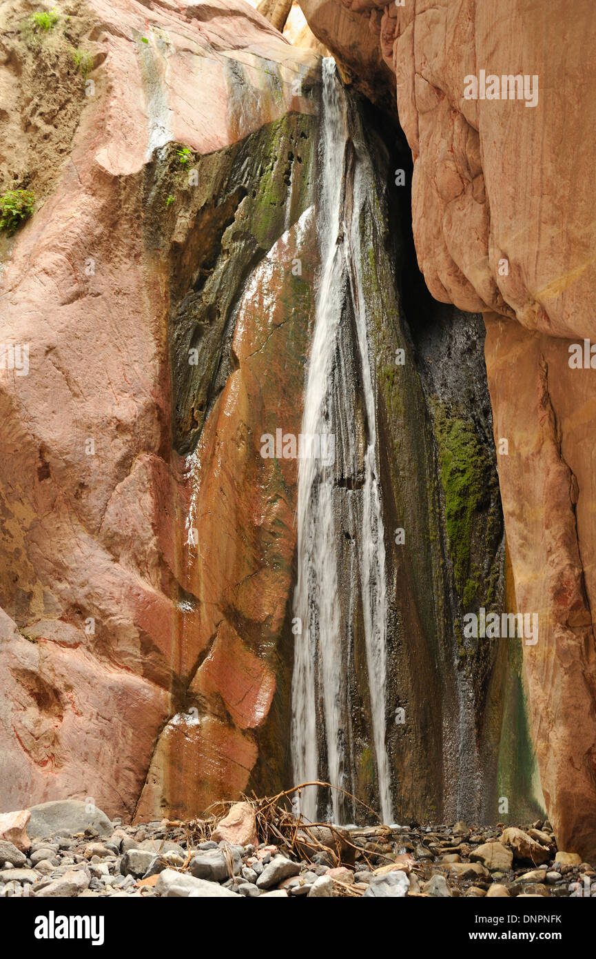 Waterfall in the Day forest in Djibouti, Horn of Africa Stock Photo