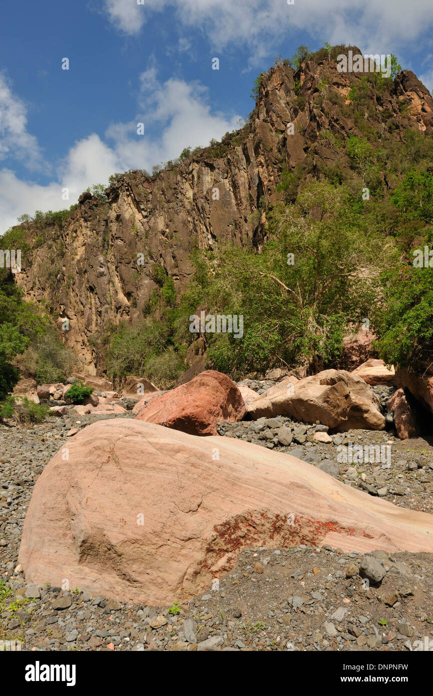 Small canyon the Day forest in Djibouti, Horn of Africa Stock Photo