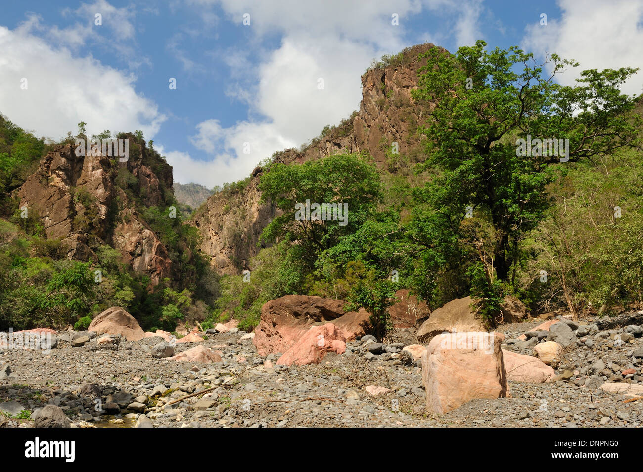 Small canyon the Day forest in Djibouti, Horn of Africa Stock Photo