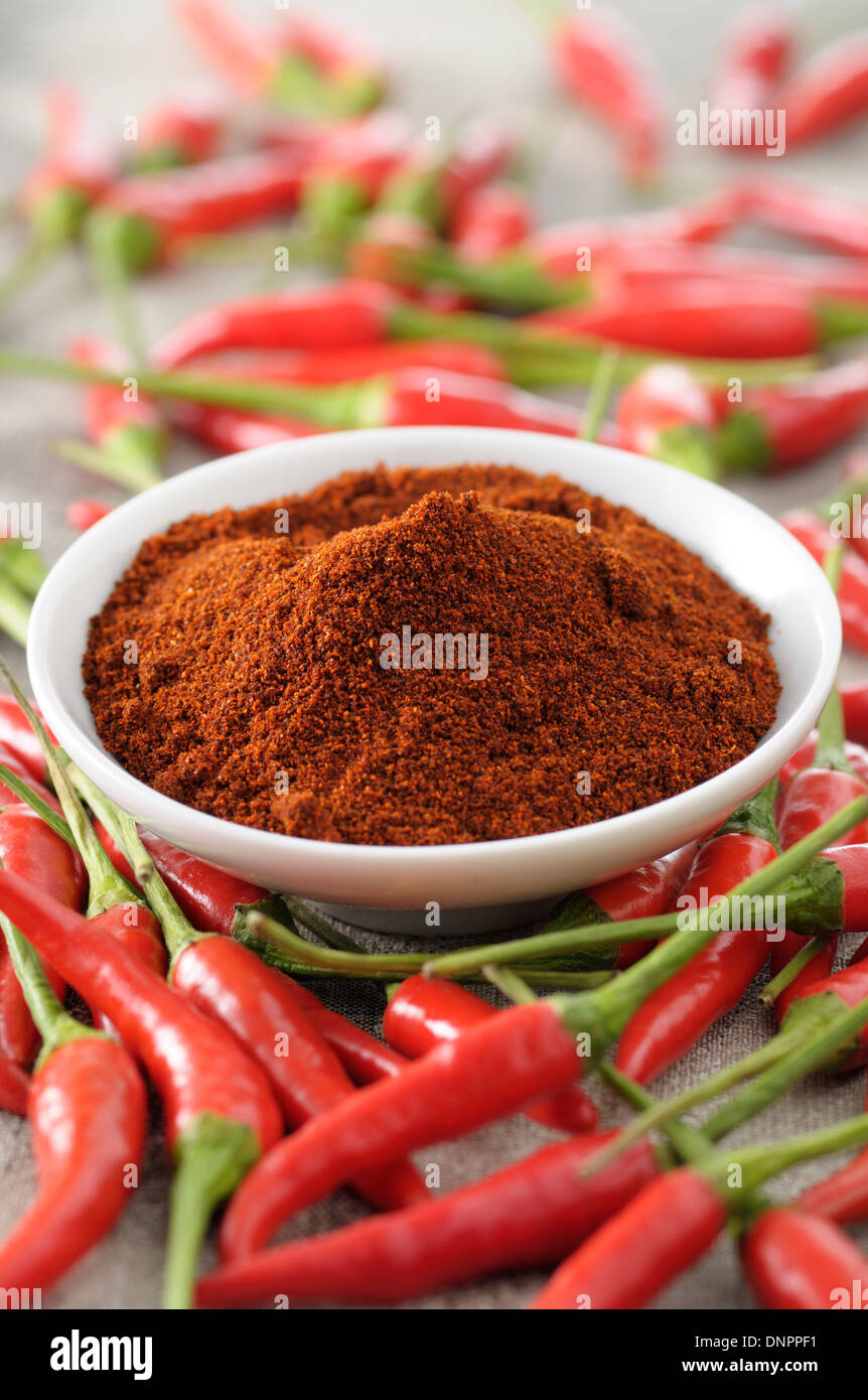 Bowl of Ground Chili Peppers surrounded by Fresh Red Chili Peppers