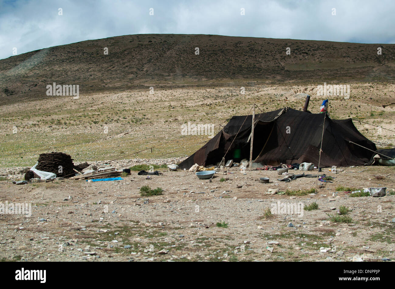 Nomad tent near Pekusto, Tibet Stock Photo - Alamy