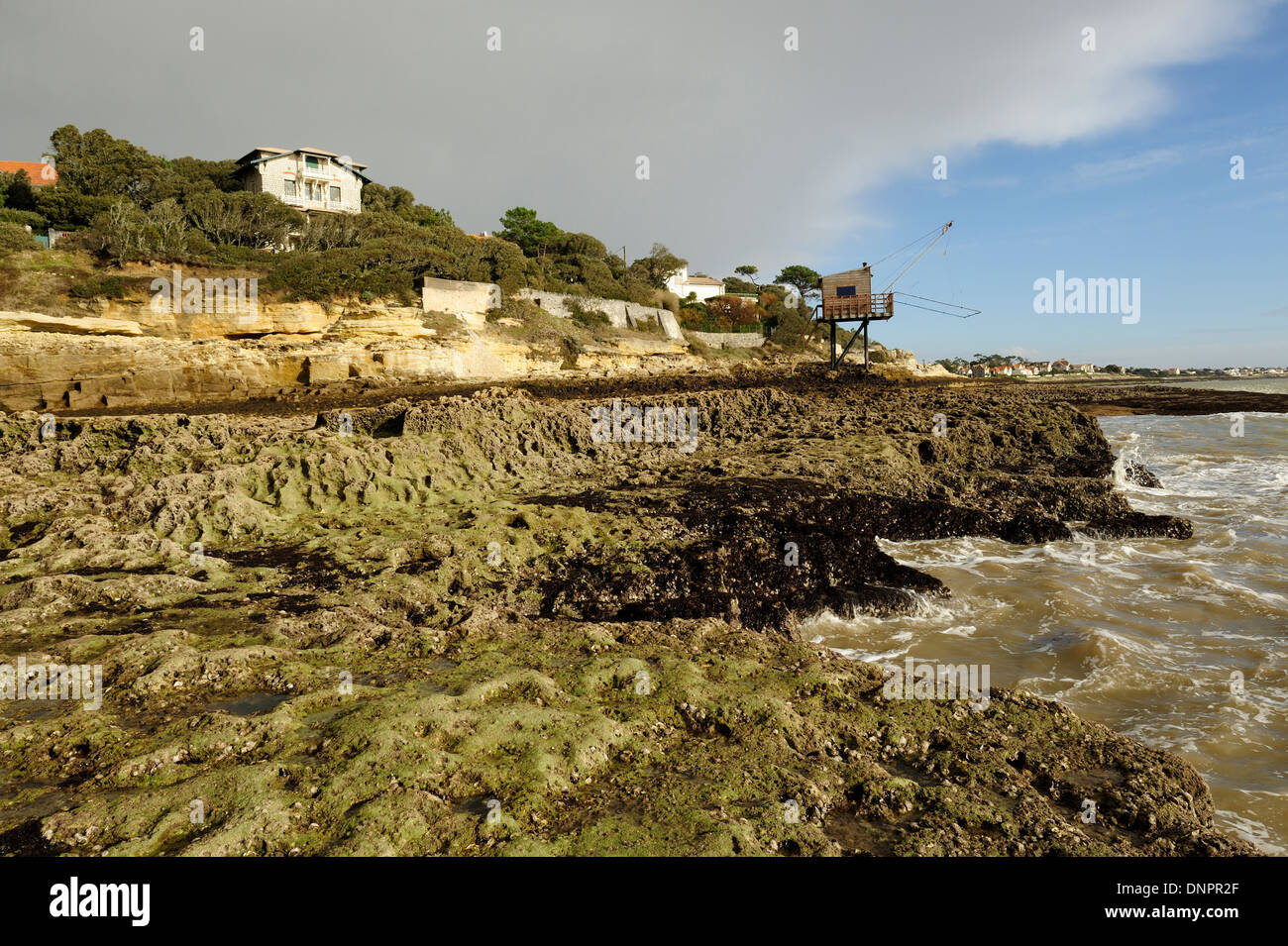 Houses built along the rocky part of the coast of Gironde estuary mouth in Charente-Maritime, France Stock Photo