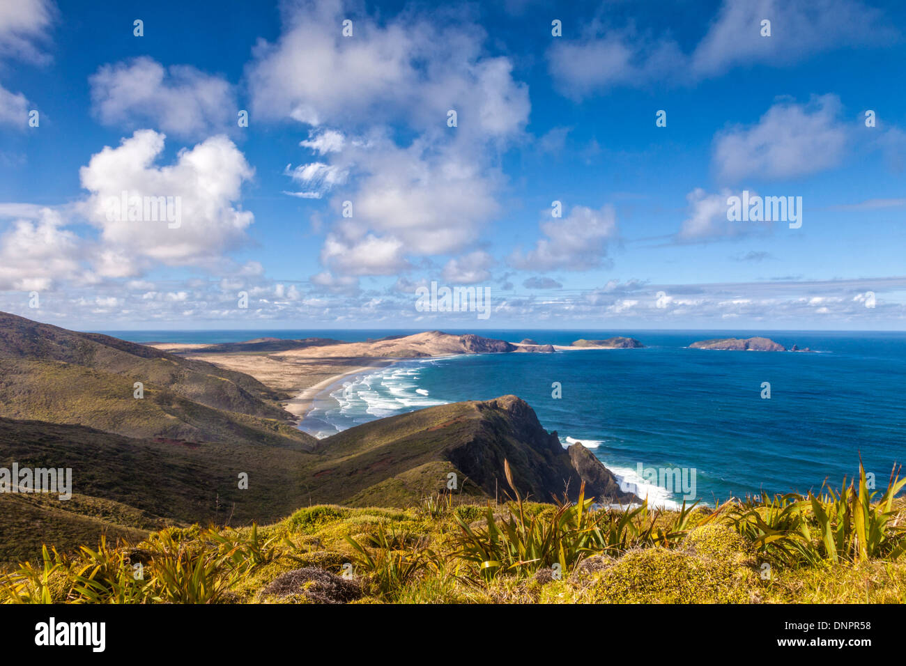 Cape Maria van Diemen from Cape Reinga, Northland, New Zealand. In the foreground are the miniature flax which grow at Cape Rein Stock Photo