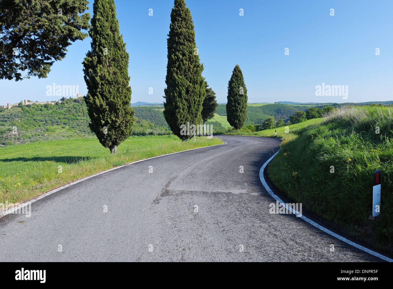 Rural Road lined with Cypress Trees (Cupressus sempervirens). Pienza, Siena district, Tuscany, Toscana, Italy. Stock Photo