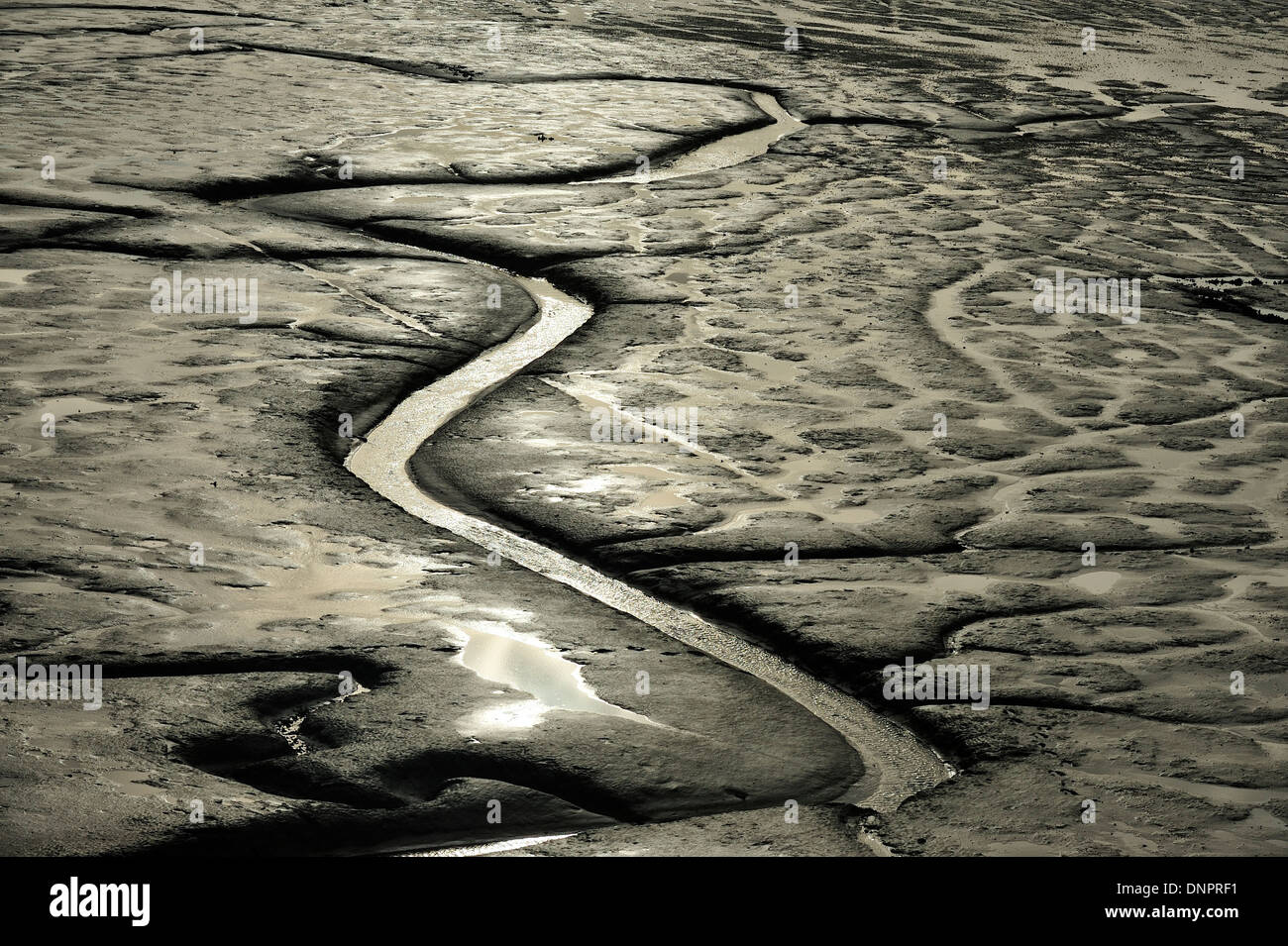 Mudflat under the bridge of Oléron in Charente-Maritime, France Stock Photo