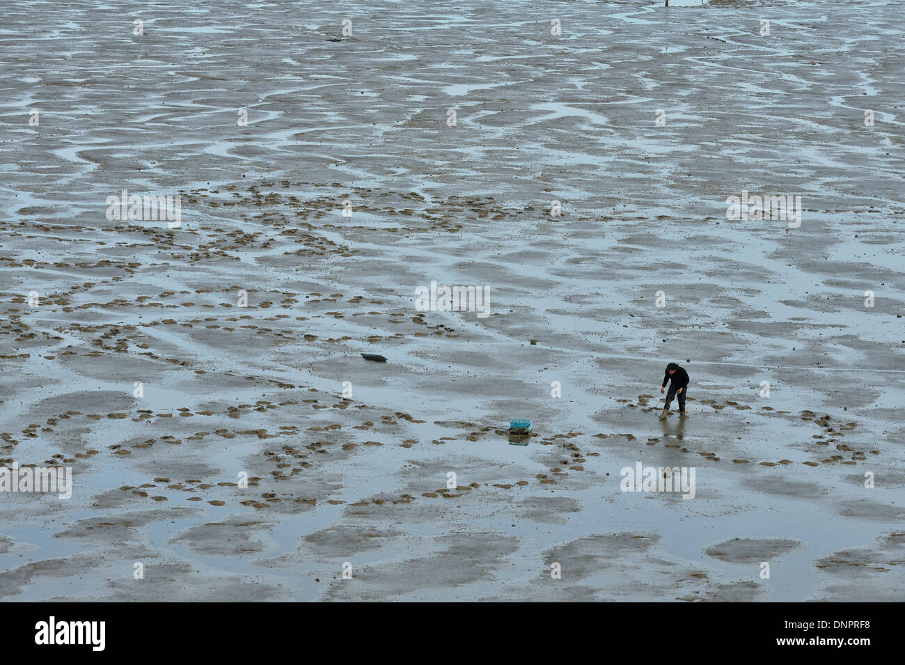 Fisherman walking on a mudflat under the bridge of Oléron in Charente-Maritime, France Stock Photo