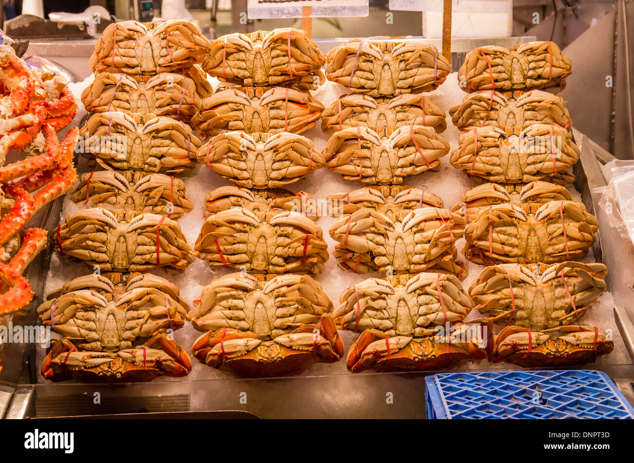 Dungeness crab on ice at a fish monger's market stall Pike Place Market Seattle, Washington, USA Stock Photo