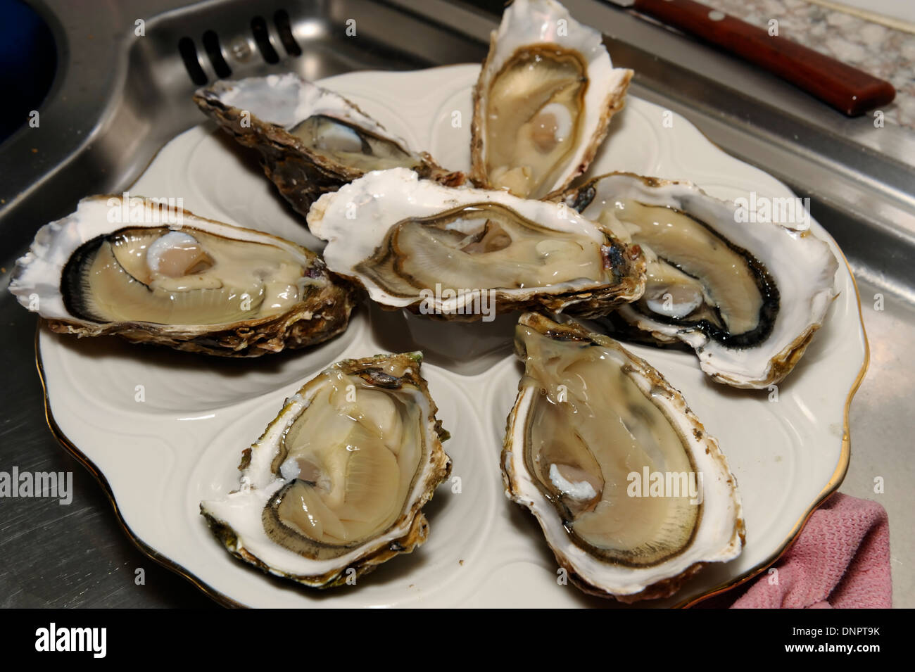 A plate with six raw oysters in a restaurant in Royan, Charente