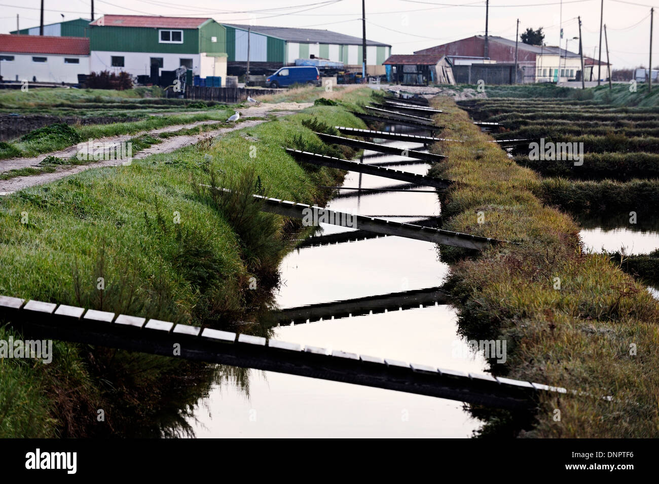 Water channel to fill the claires freshwater pool in Charente-Maritime, France Stock Photo