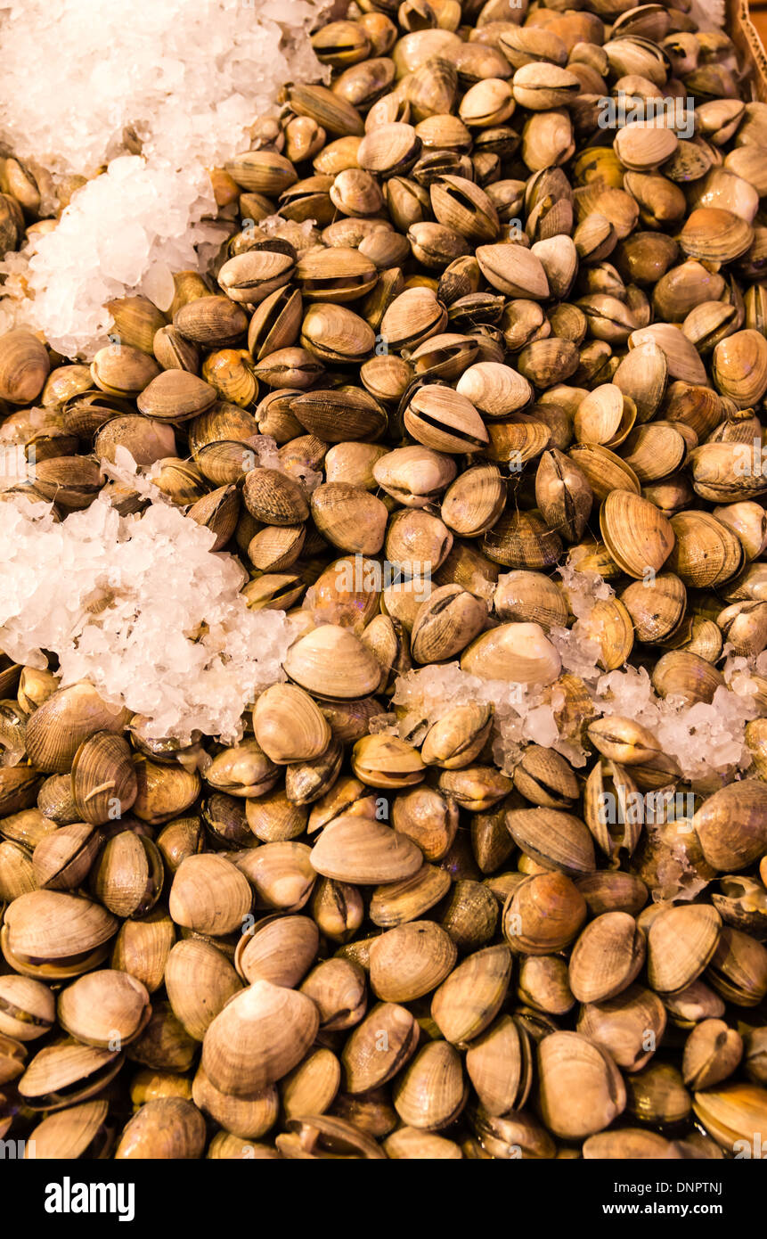 Fresh clams on ice at a fish monger's stall Pike Place Market Seattle, Washington, USA Stock Photo