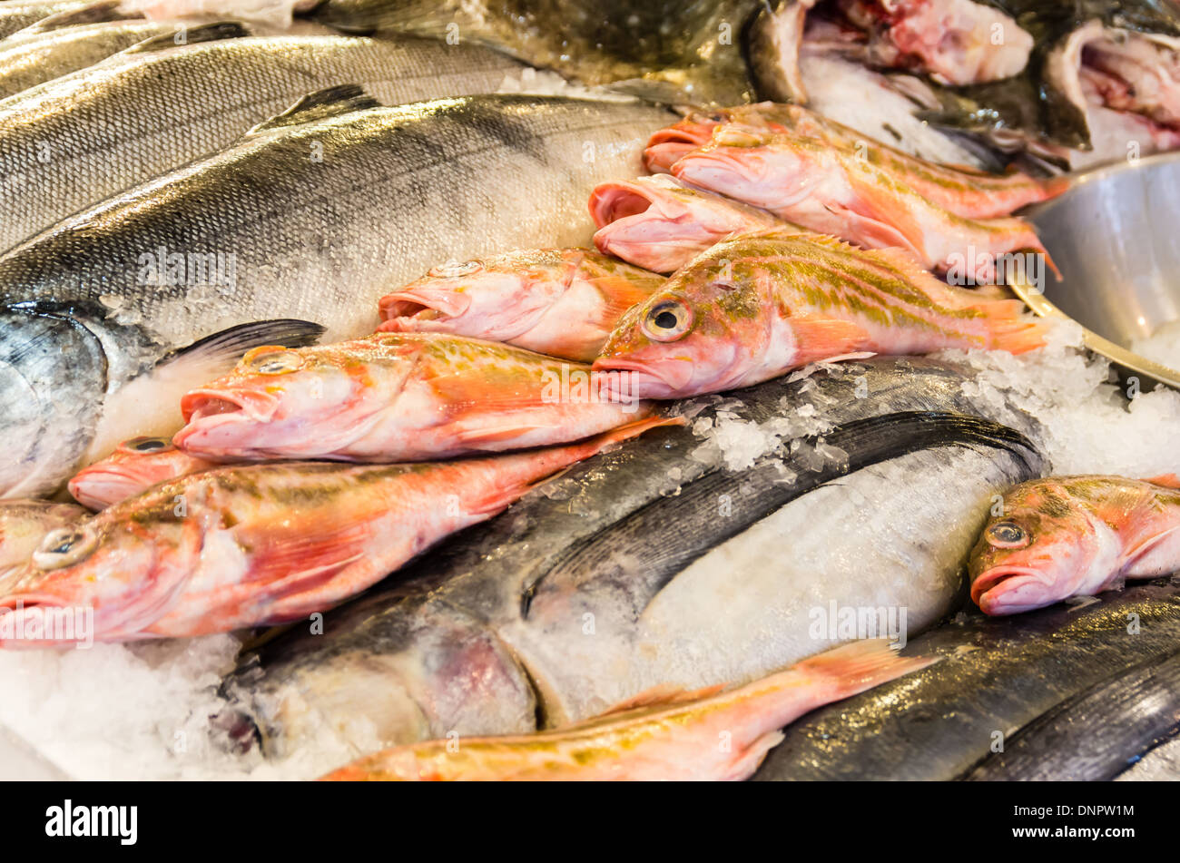 Fresh fish on ice in a fish monger's market stall Pike Place Market Seattle, Washington, USA Stock Photo