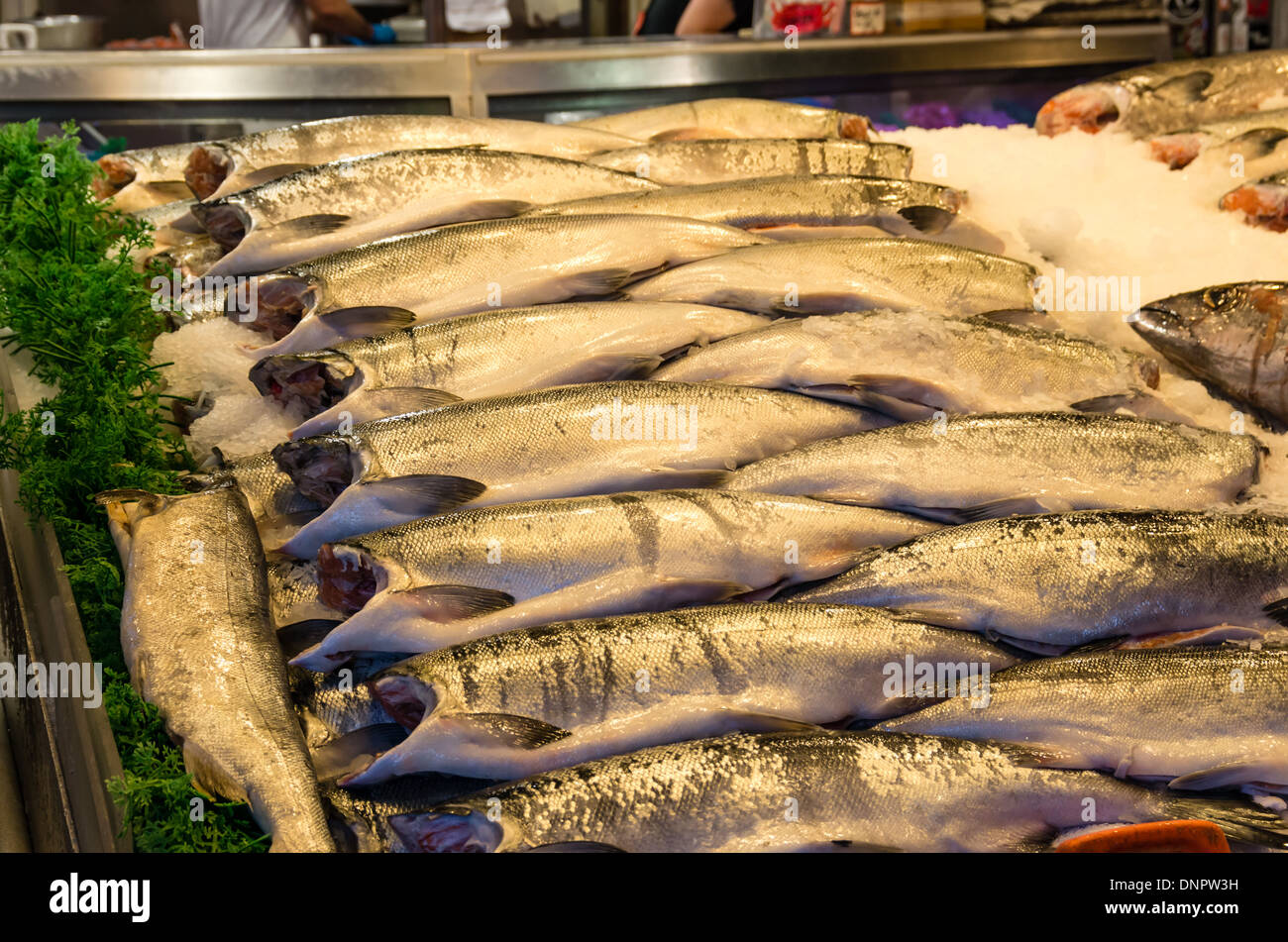 King Salmon on ice at a fish monger's market stall Pike Place Market Seattle, Washington, USA Stock Photo