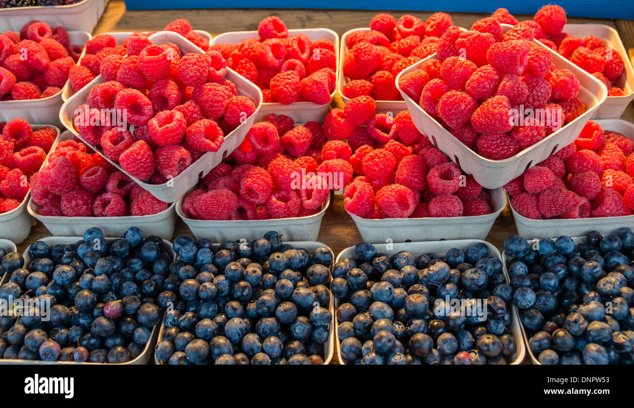 Red raspberries and blueberries on display at a farmer's market stall Pike Place Market Seattle, Washington, USA Stock Photo