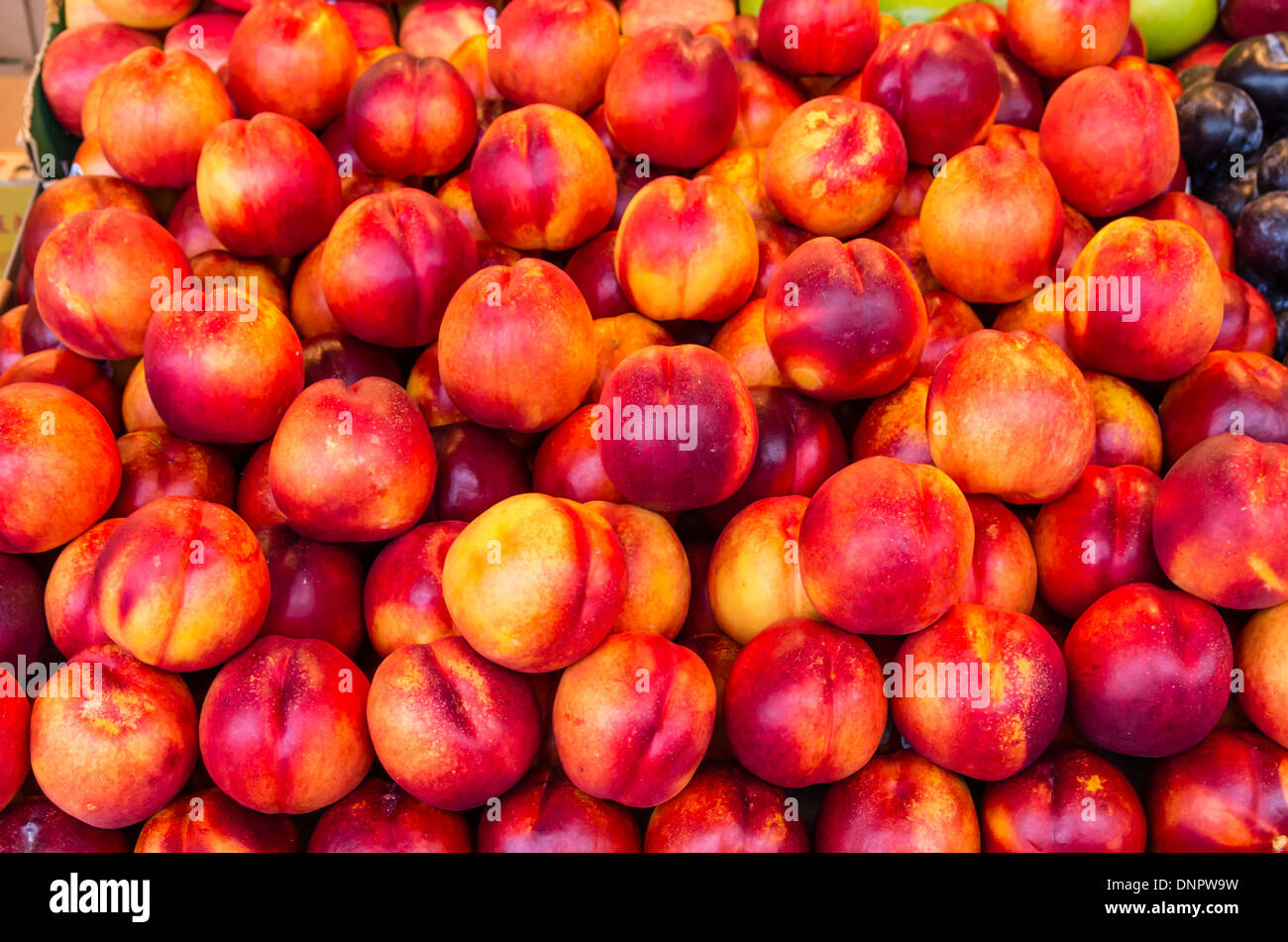 Red ripe nectarines on display in a market stall Pike Place Market Seattle, Washington, USA Stock Photo