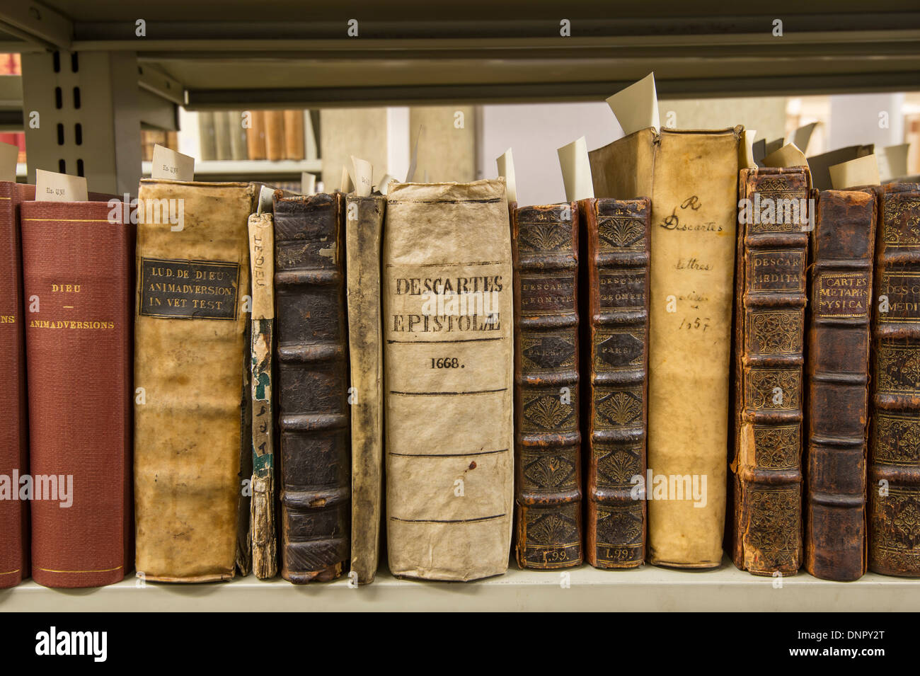 Old Rare Books Stock Photo