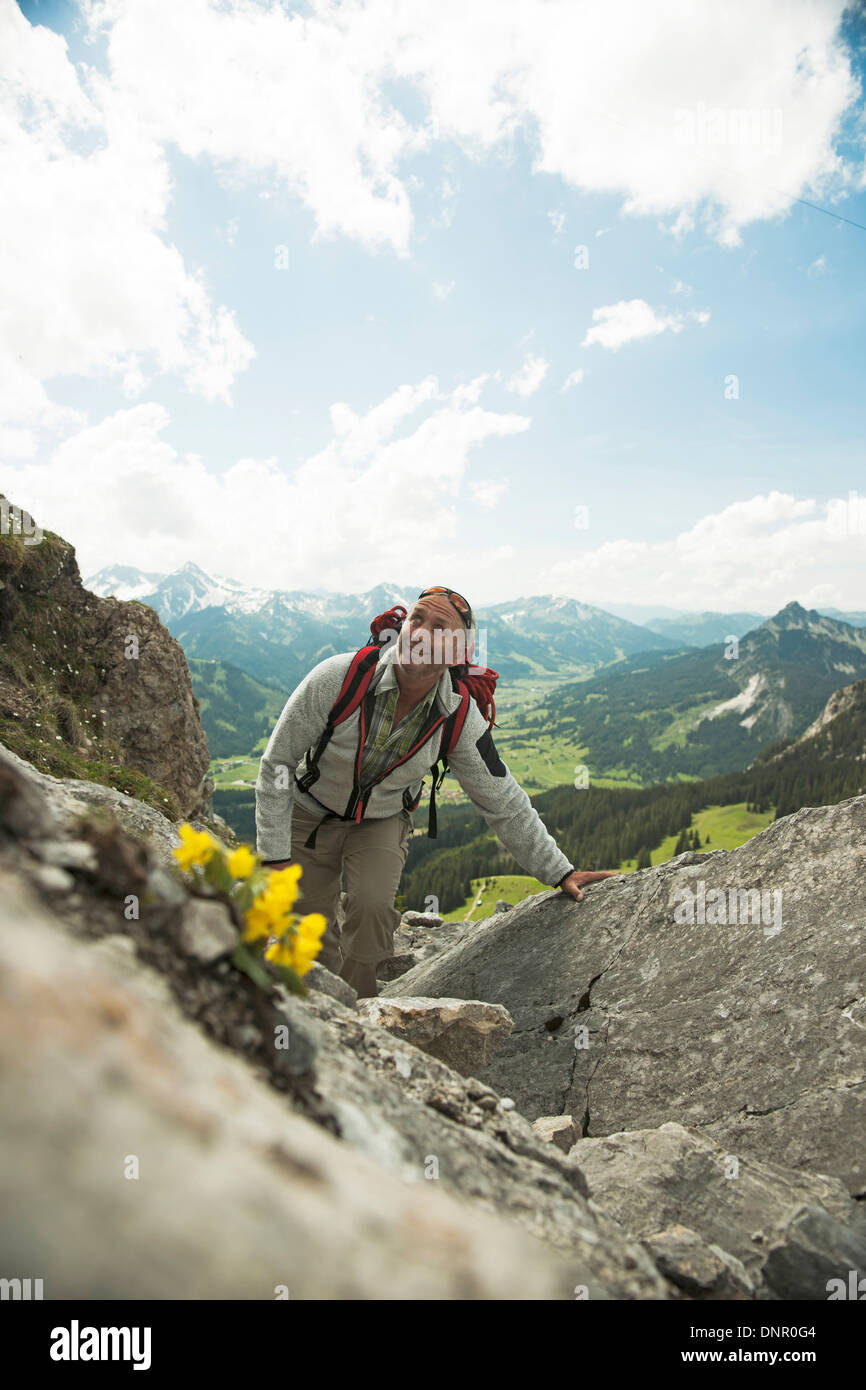 Mature man hiking in mountains, Tannheim Valley, Austria Stock Photo